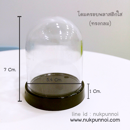 โดมครอบ พลาสติกใส ทรงกระบอก-ทรงรี ** สินค้าอาจมีริ้วรอยบนฝาครอบบางจุดนะคะ สำเนา
