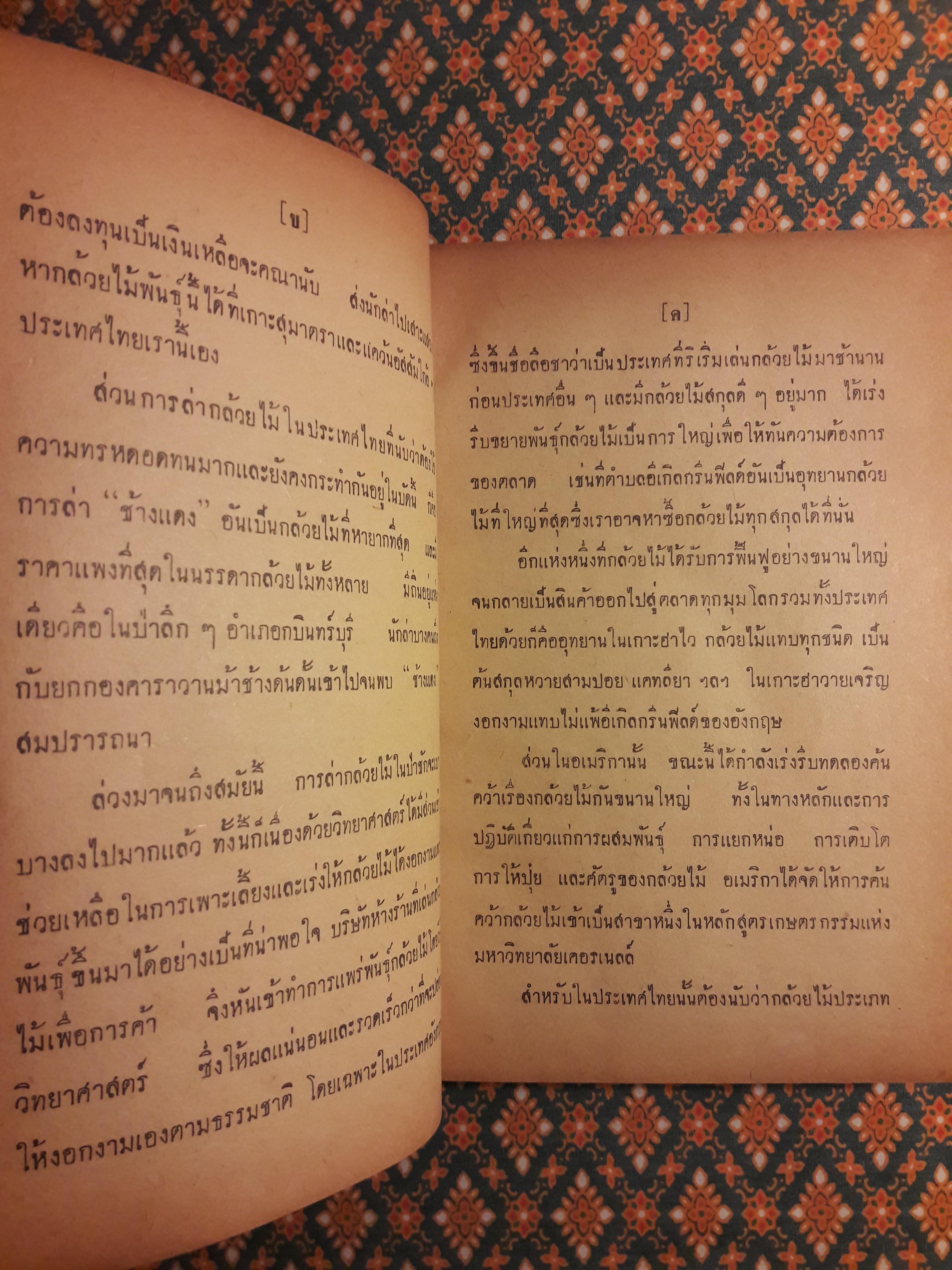 กล้วยไม้