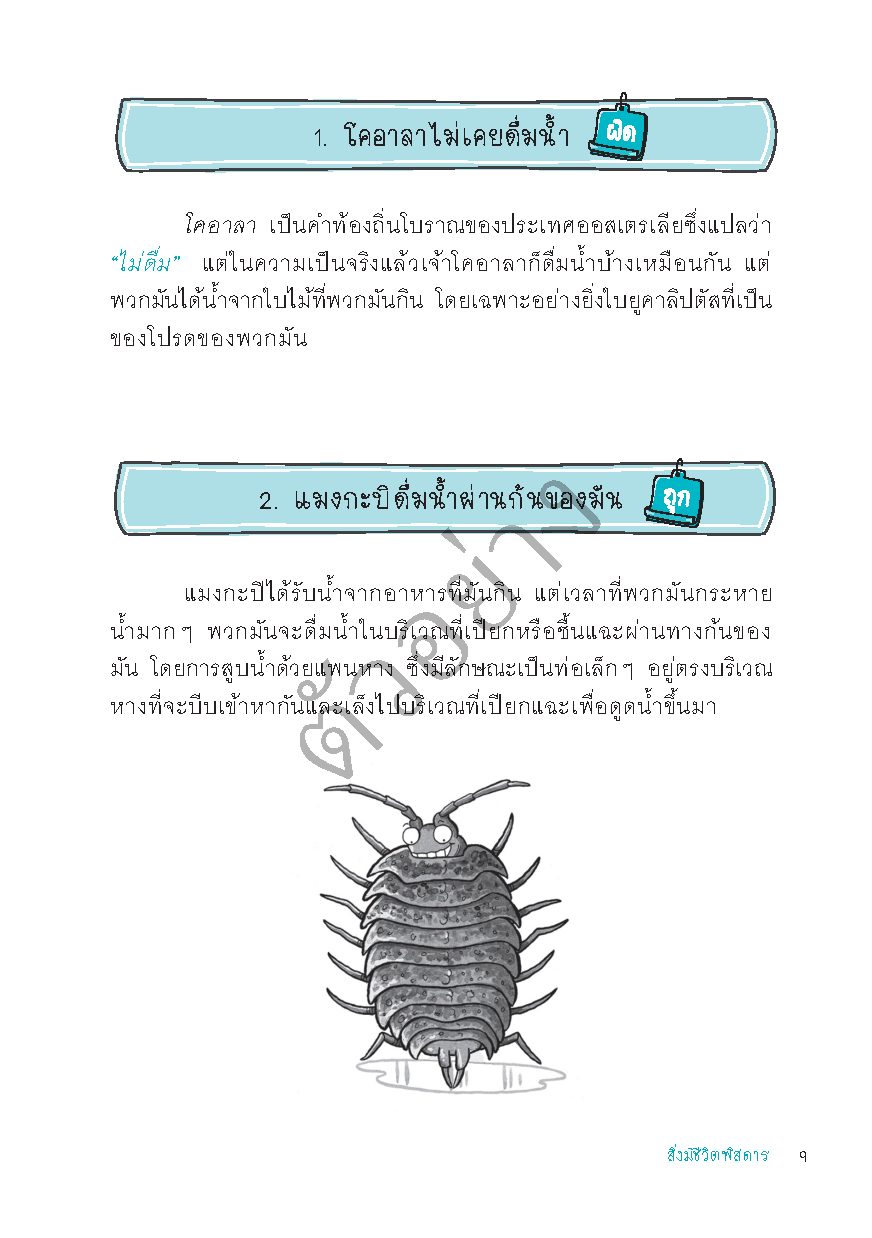 Expernet หนังสือ OMG ! ฉลาด! อัจฉริยะ!