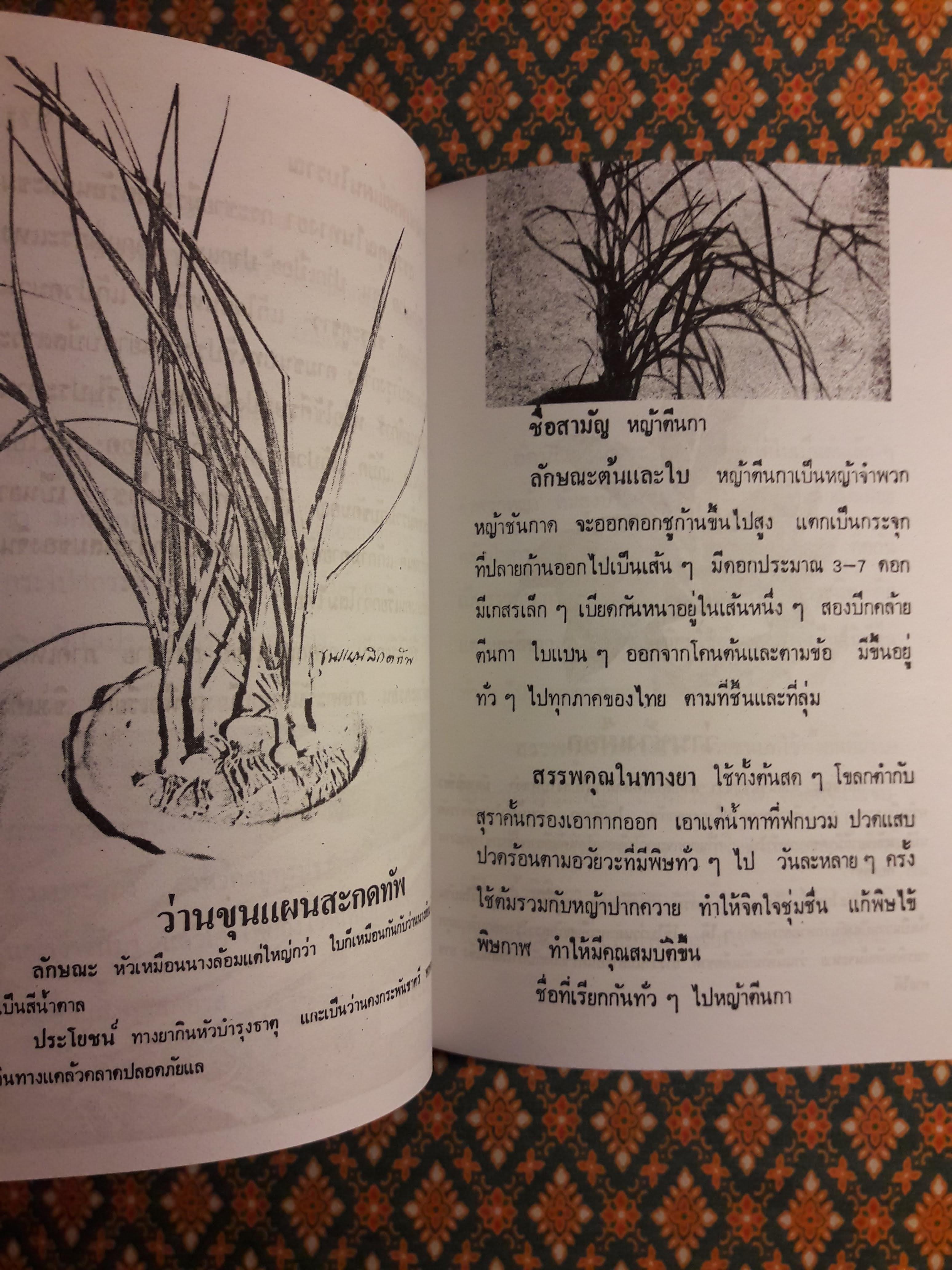 ตำรายาแพทย์แผนโบราณ
