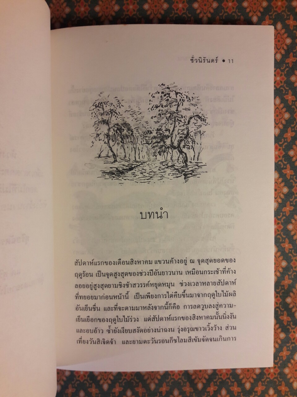 ชั่วนิรันดร์ Tuck Everlasting