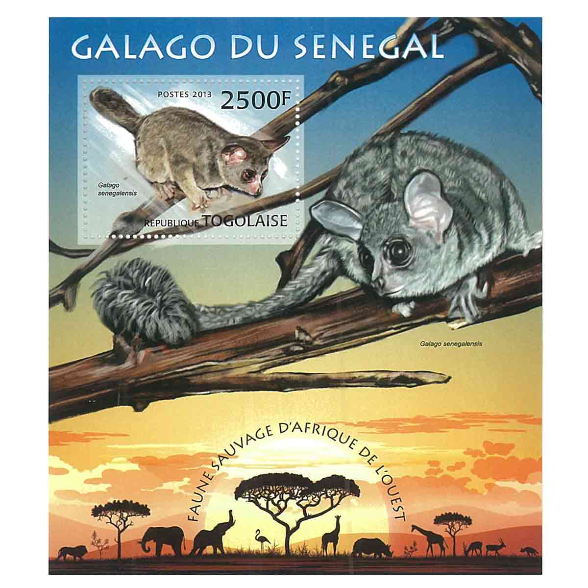 Togo Stamp, 2013 Senegal bushbaby, Wildlife, Animals S/S