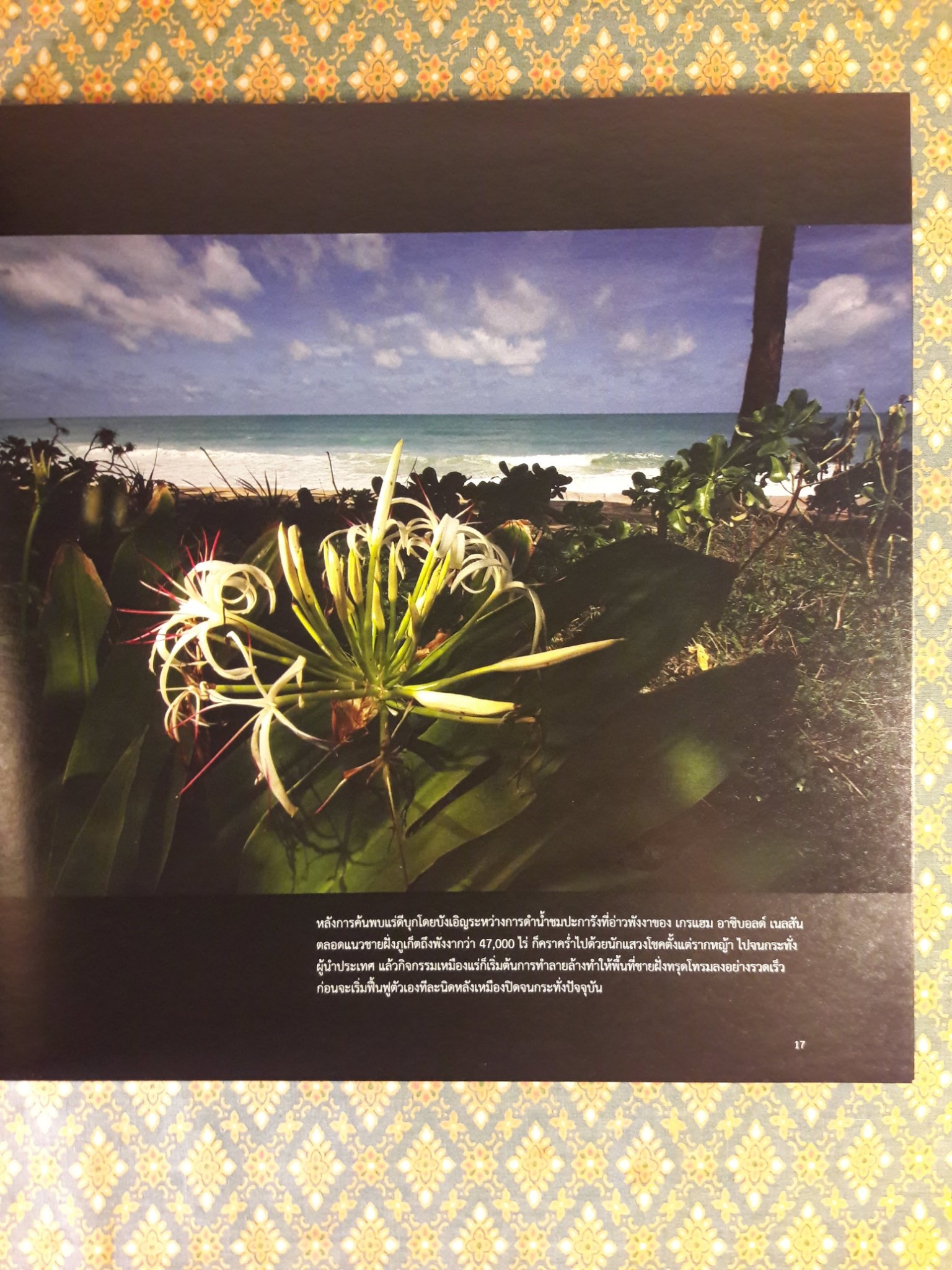 เล่าเรื่องเหมืองแร่ในเมืองไทย