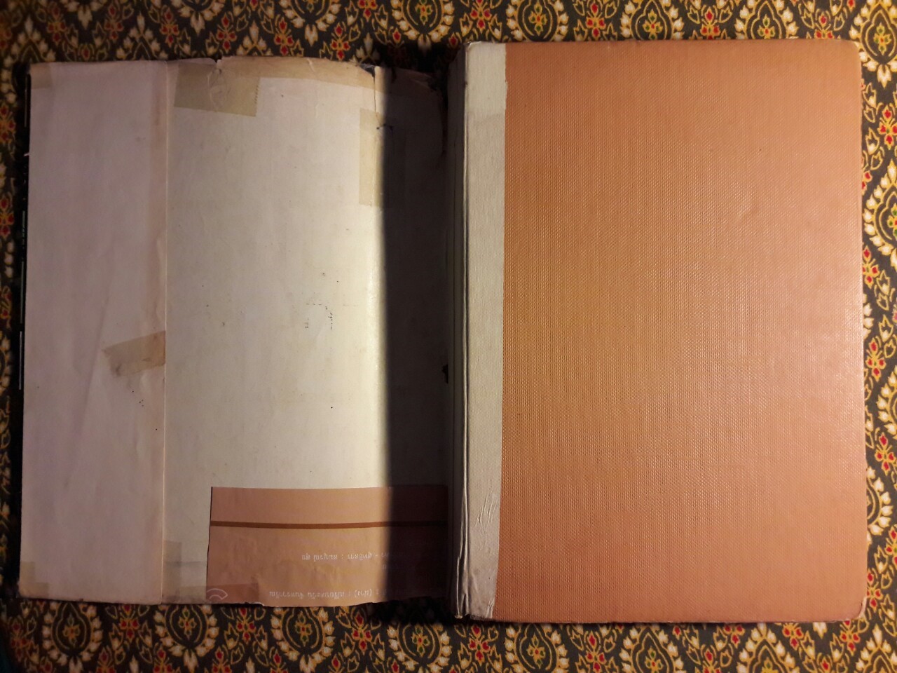 ป่าลูกกรง