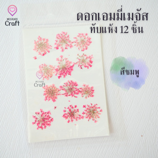 ดอกเอมมี่เมจัส 12 ดอก ดอกไม้แห้งทับ