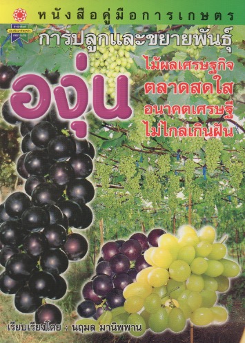 การปลูกและขยายพันธุ์องุ่น