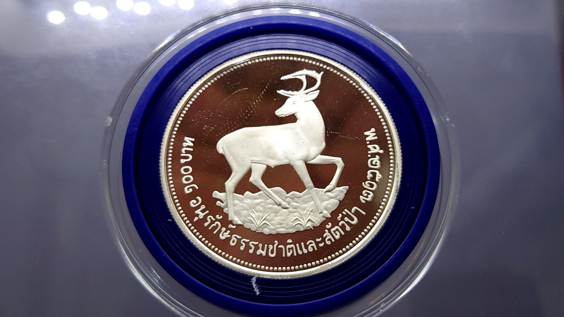 เหรียญเงินขัดเงา 100 บาทอนุรักษ์ธรรมชาติและสัตว์ป่า (ละมั่ง) 2517
