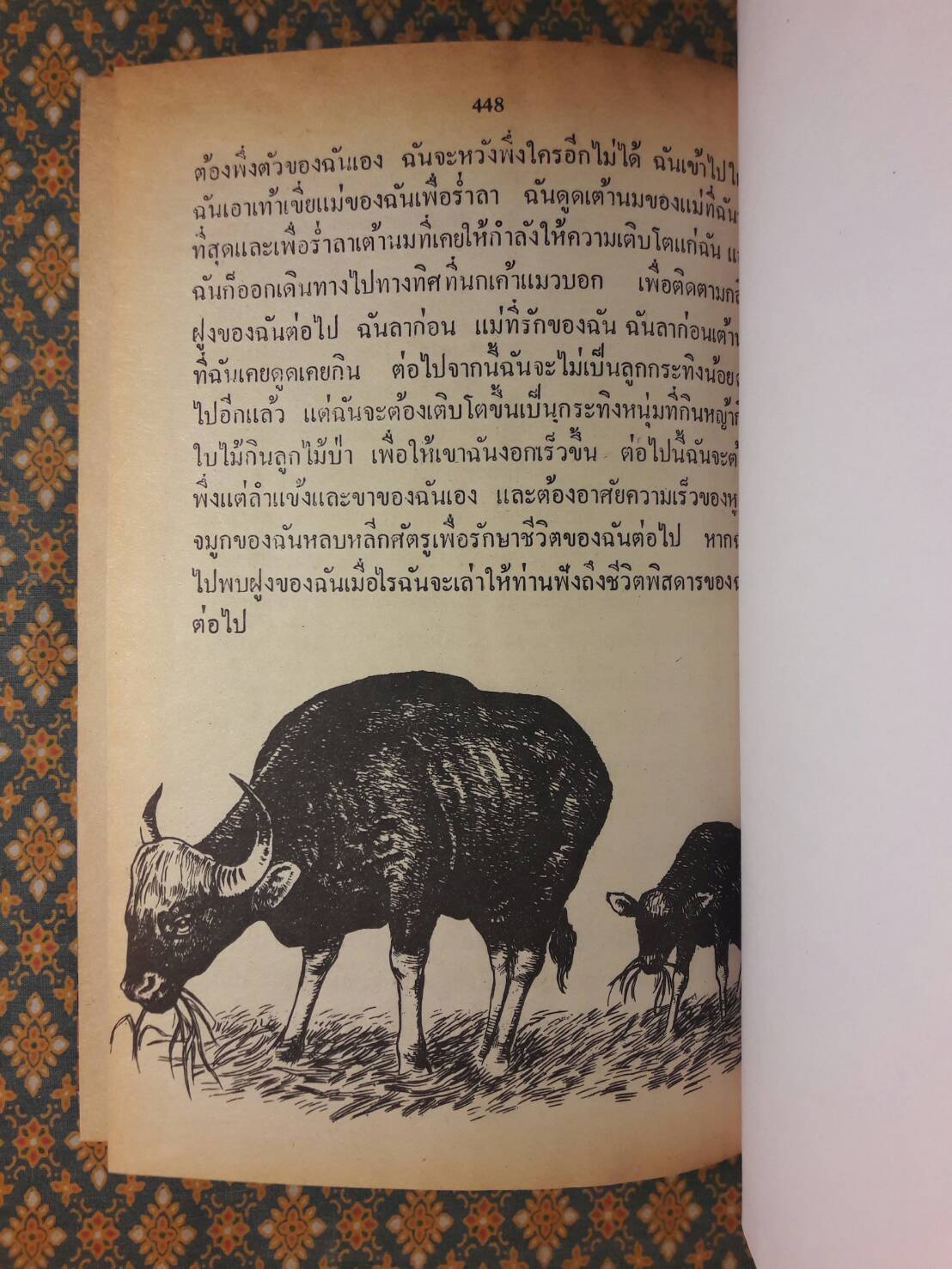 ชีวิตของฉันลูกกระทิง “หนังสือดี 100 ชื่อเรื่อง ที่เด็กและเยาวชนไทยควรอ่าน”