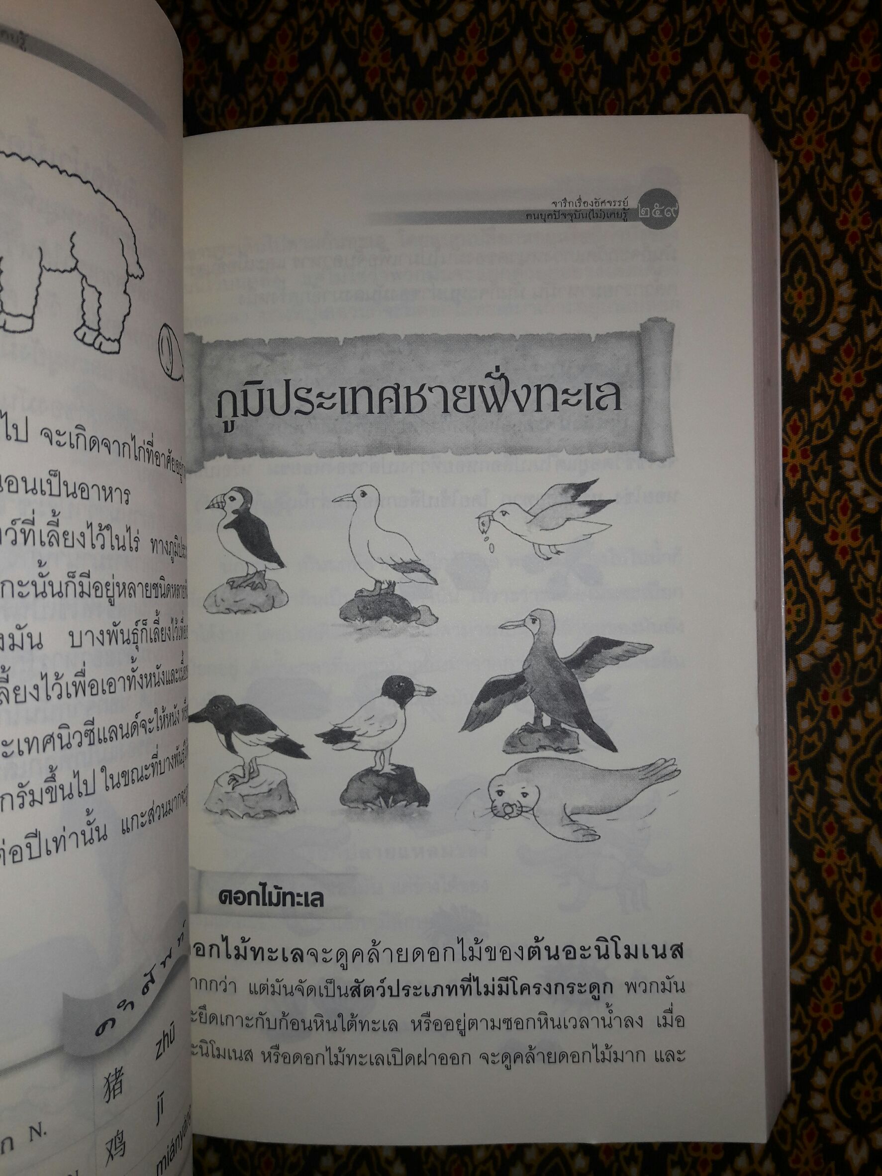 จารึกเรื่องอัศจรรย์ คนยุคปัจจุบัน (ไม่) เคยรู้