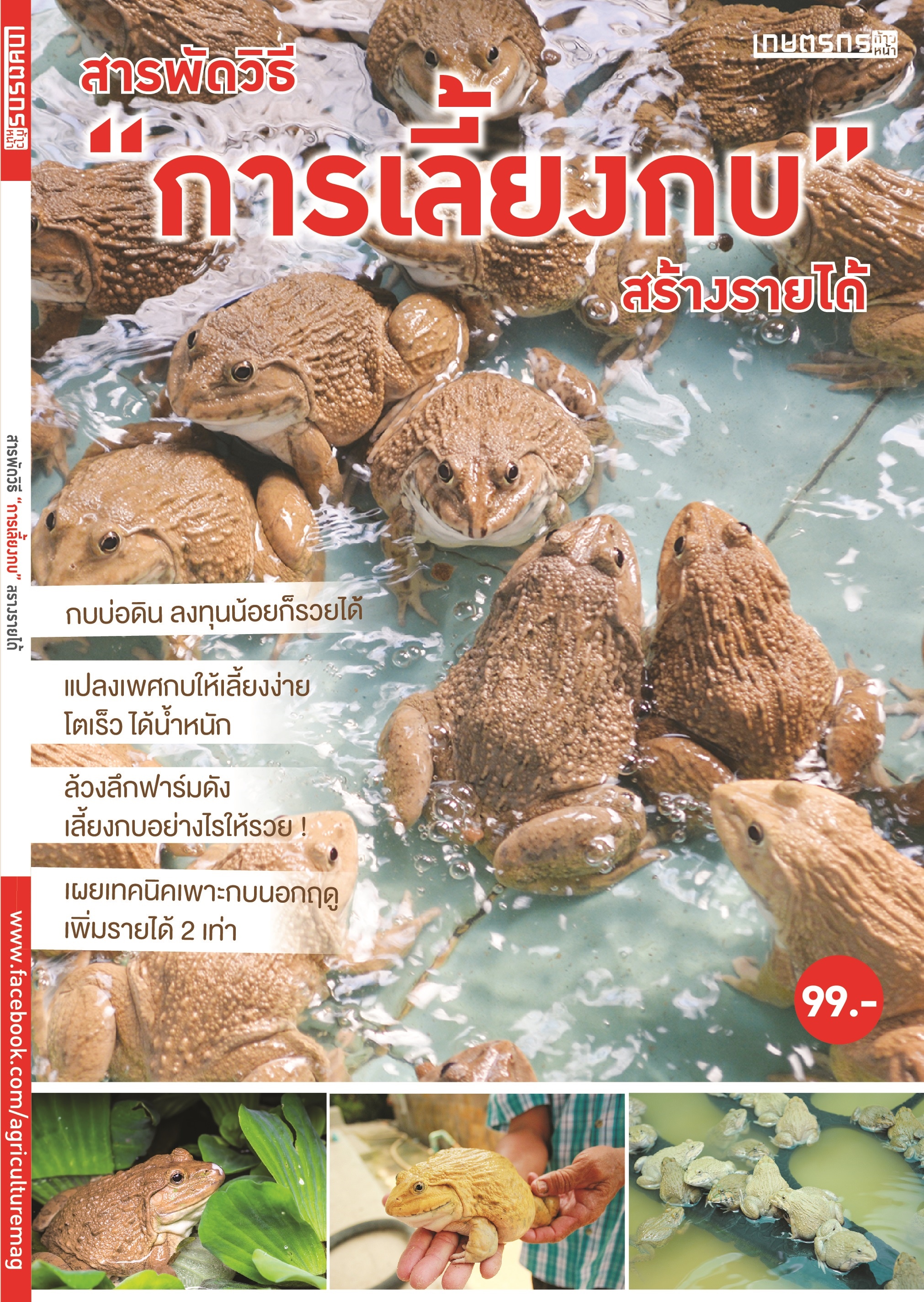 สารพัดวิธี "การเลี้ยงกบ" สร้างรายได้