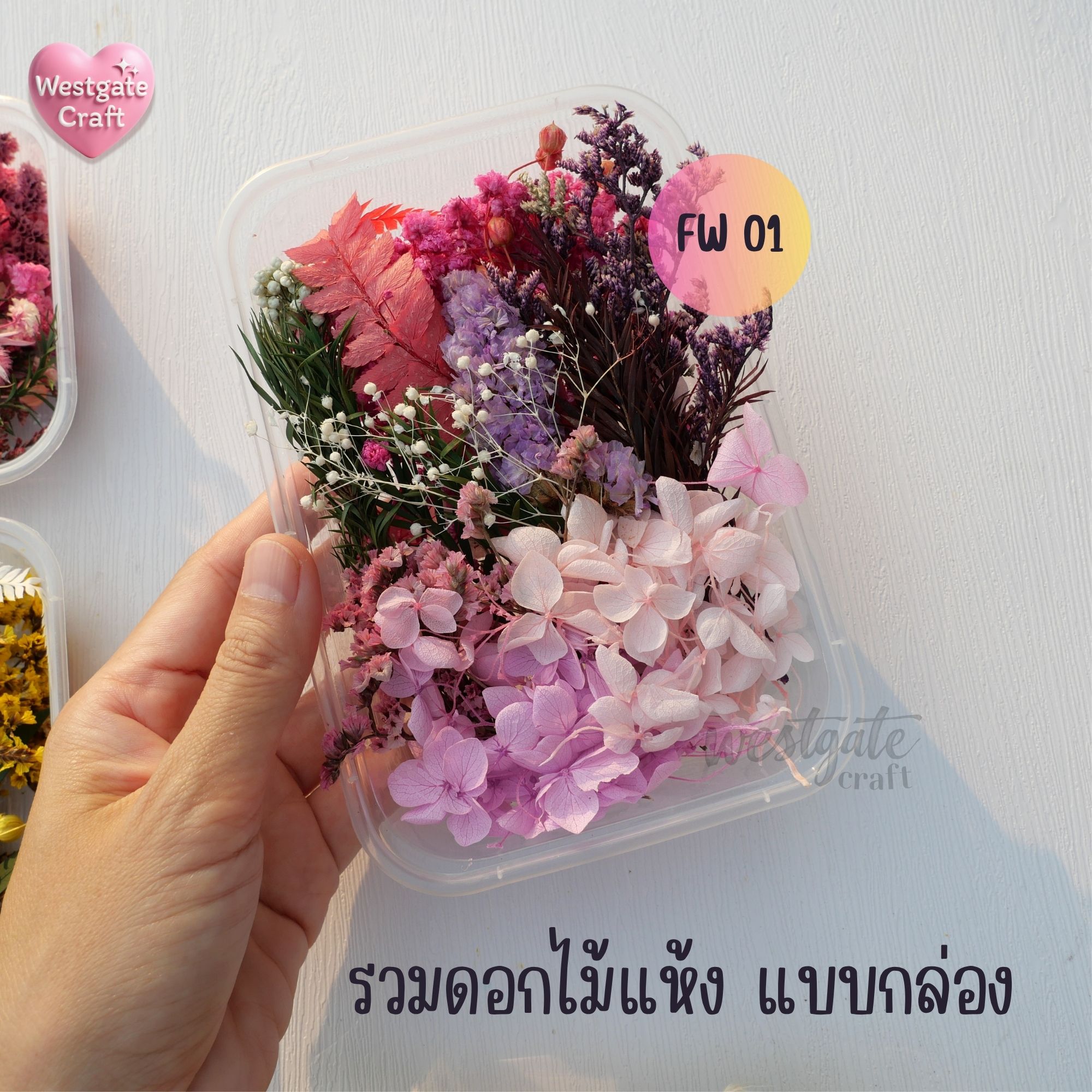 รวมดอกไม้แห้ง แบบกล่อง คละขนาด FW 01-09 , ดอกไม้แห้งจริง