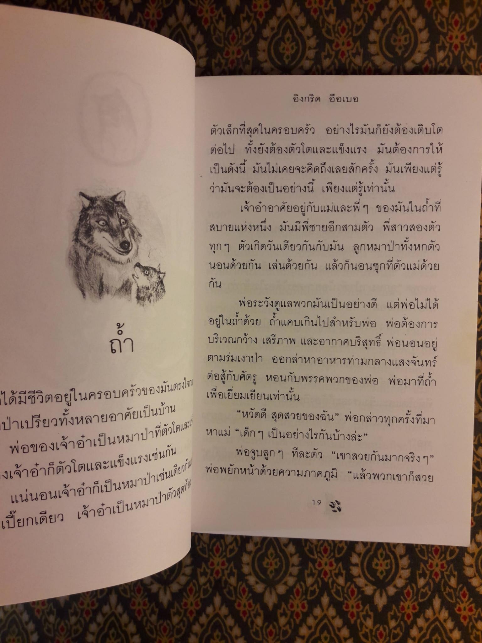 เจ้าอ๋าหมาป่าน้อย