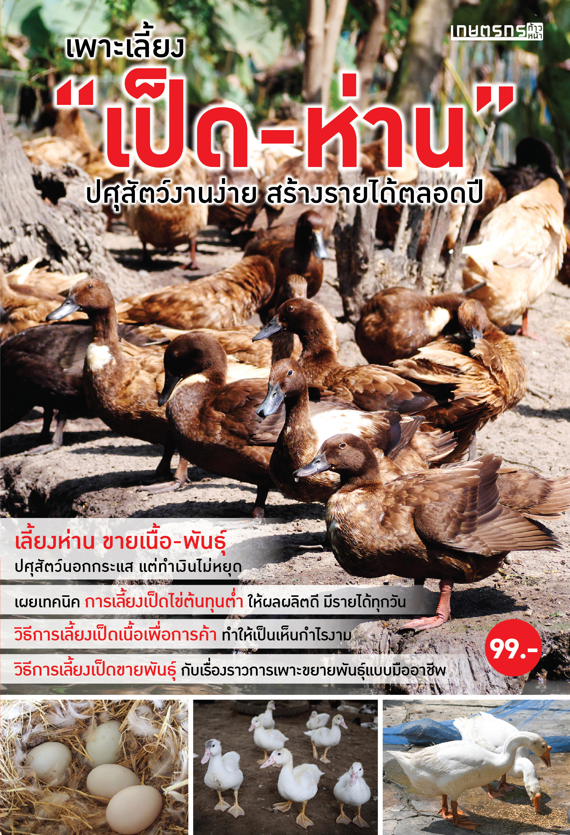 เพาะเลี้ยง เป็ด-ห่าน