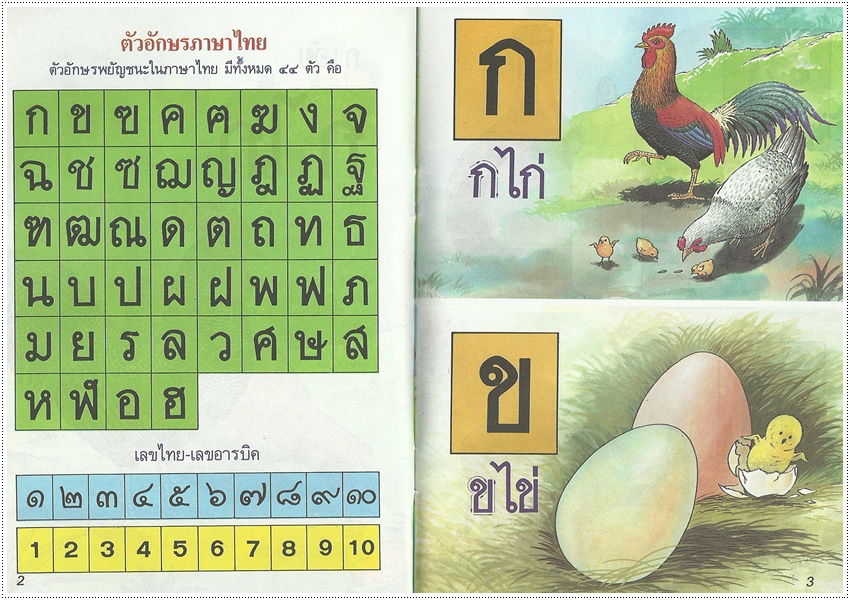 แบบหัดเรียน ก.ไก่ (ใหญ่ปอนด์)