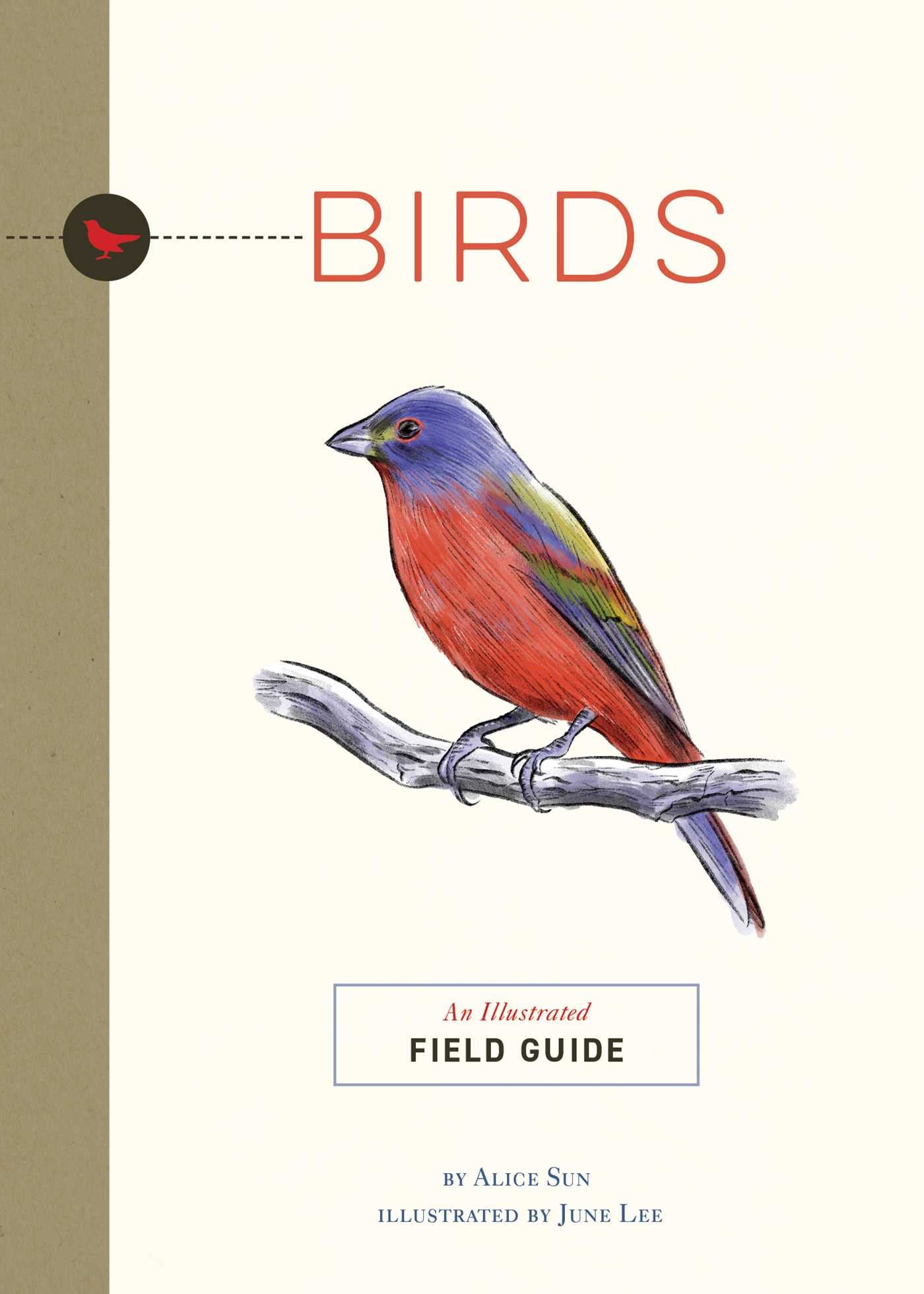 BIRDS: AN ILLUSTRATED FIELD GUIDE