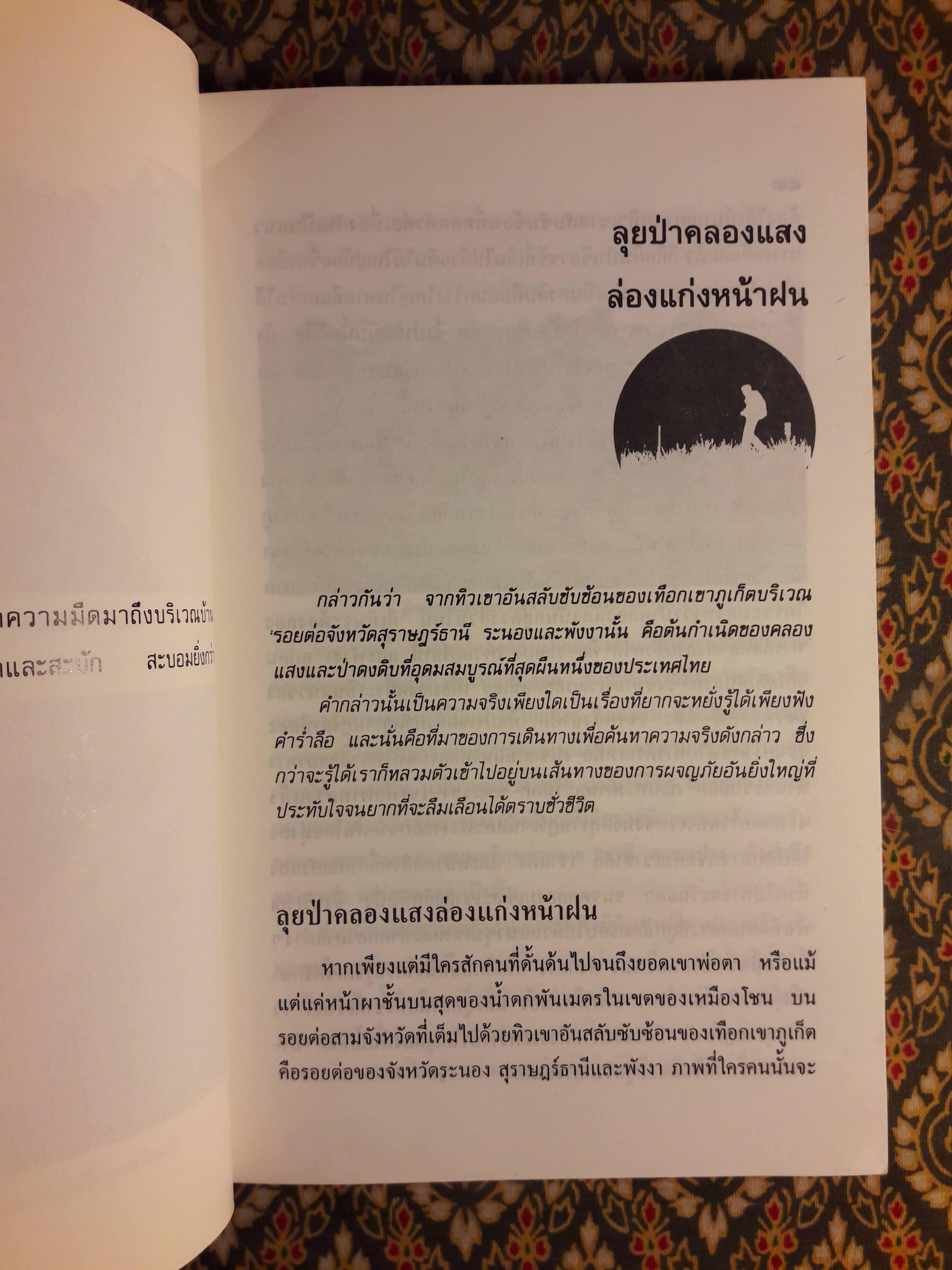 คนเดินป่า