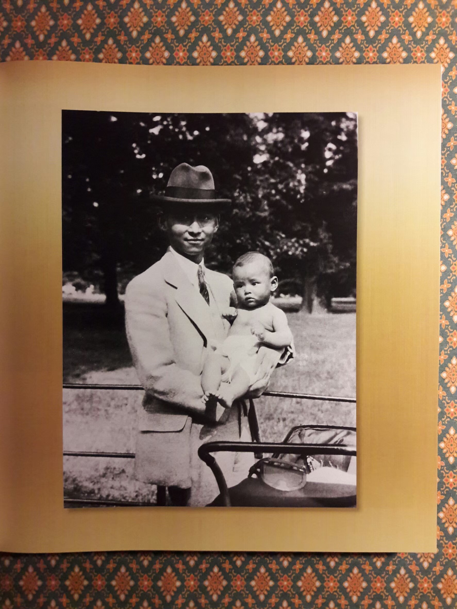 แสงแห่งแผ่นดิน