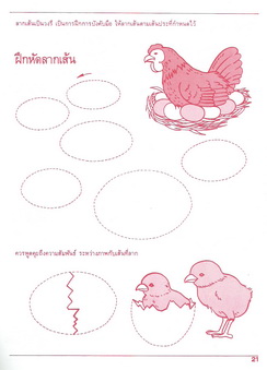 เริ่มหัดเขียน