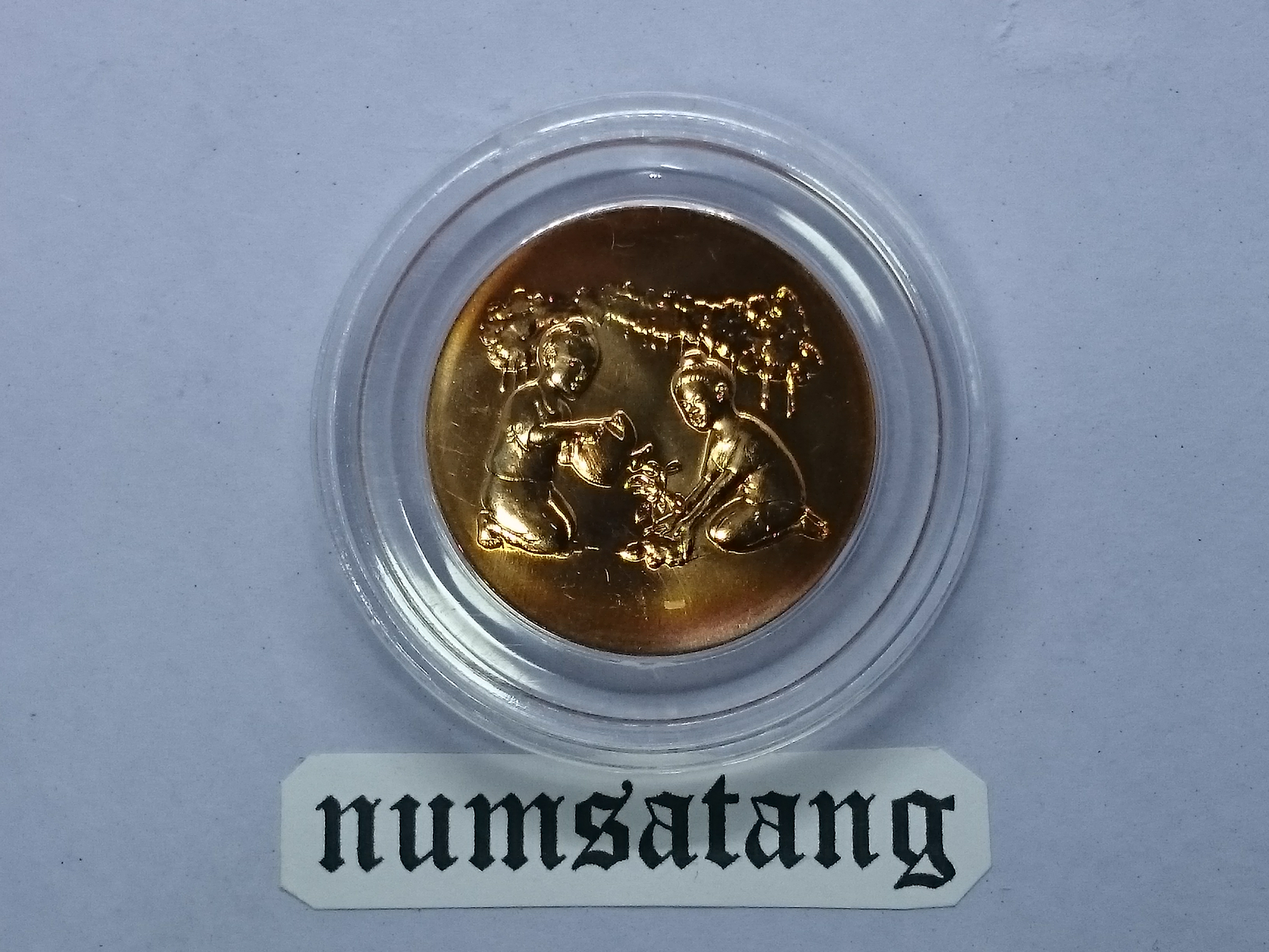 เหรียญวันเด็กแห่งชาติ ประจำปี พ.ศ.2551