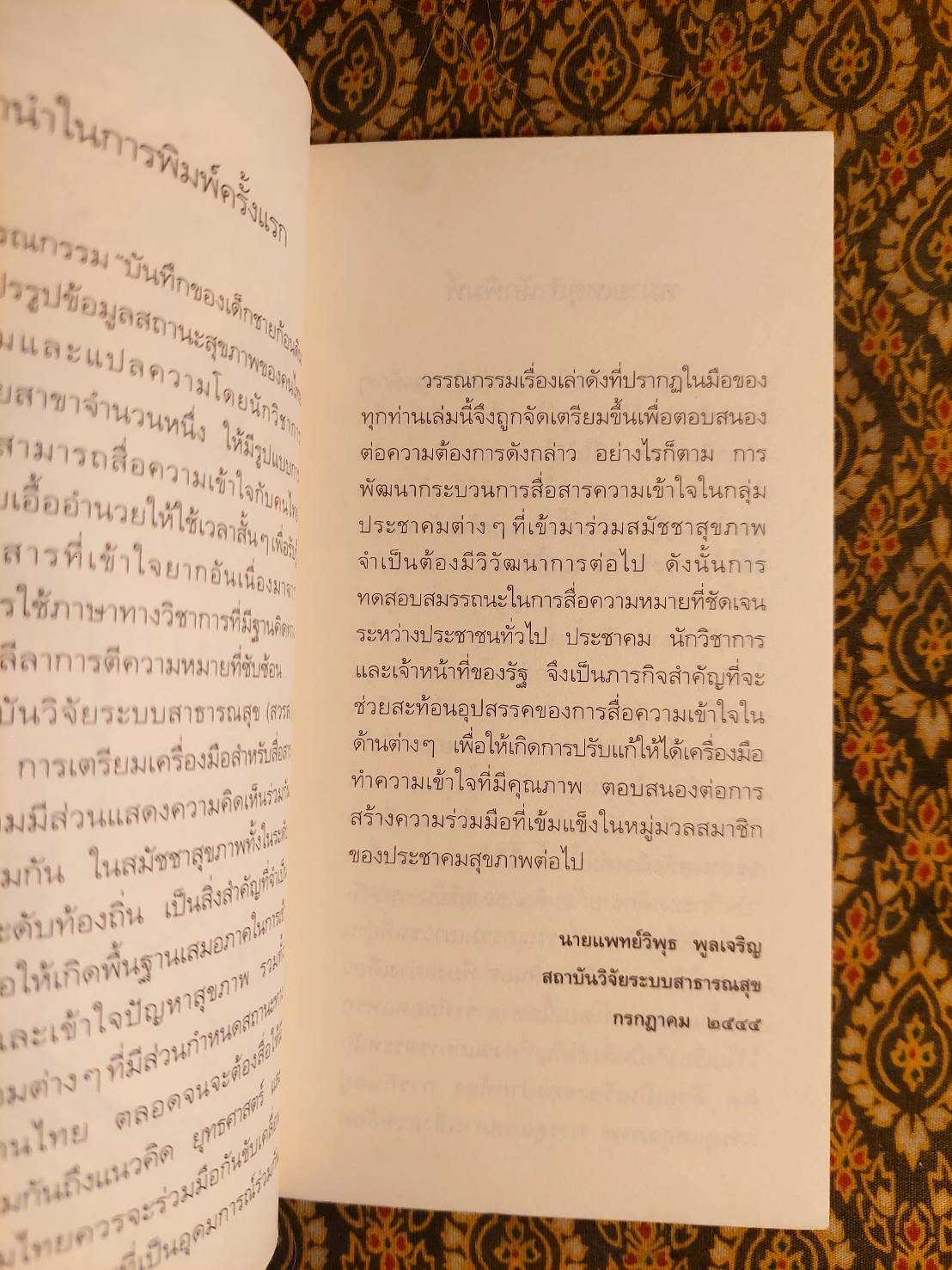 บันทึกของเด็กชายก้อนดิน