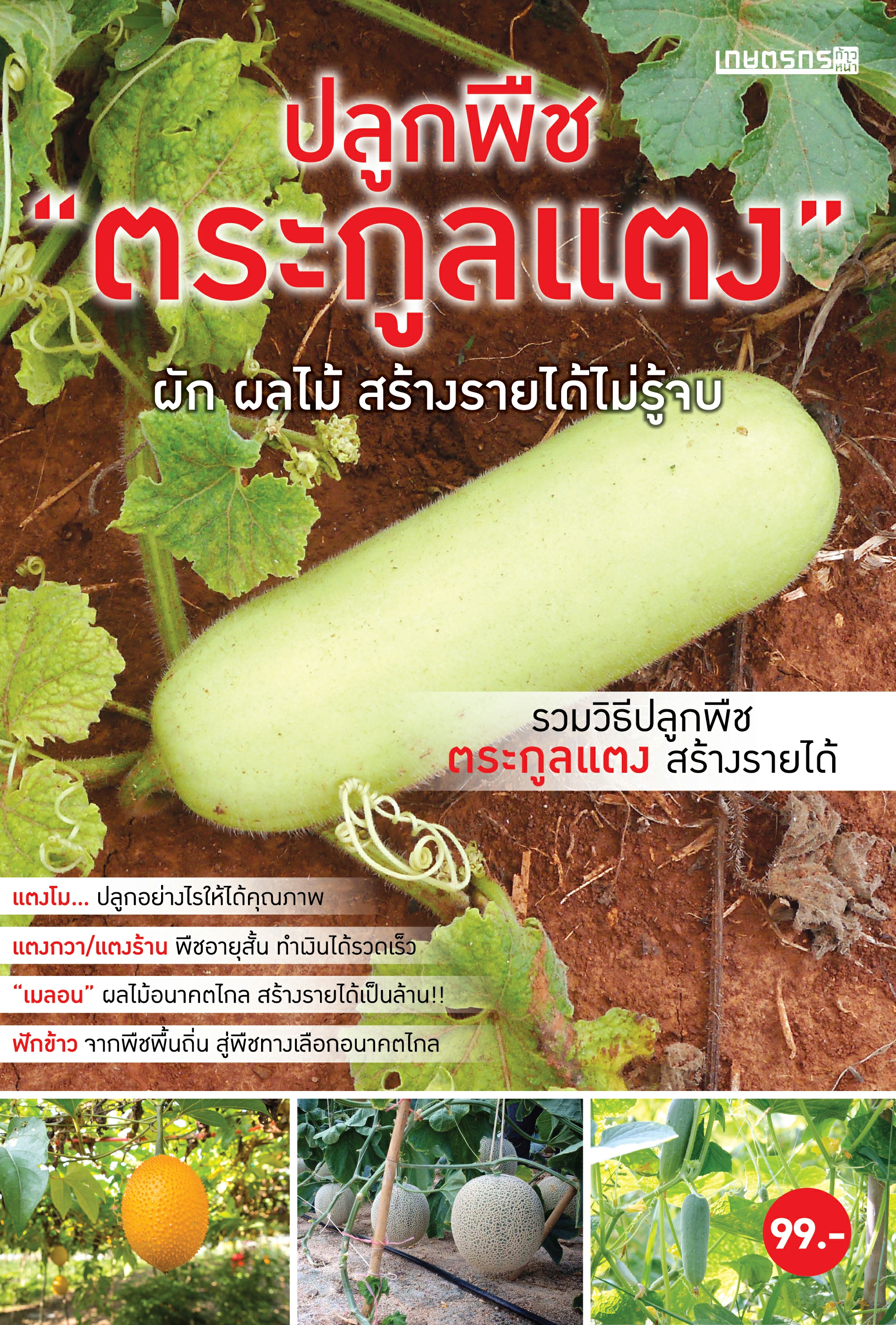 ปลูกพืชตระกูลแตง