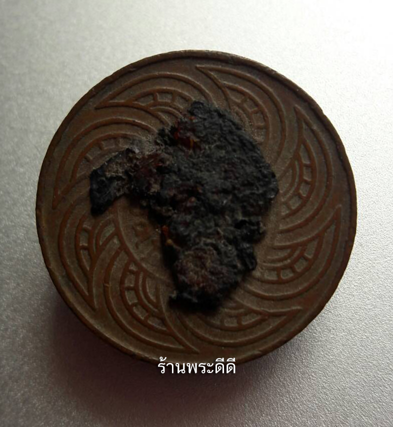 ดอกพิกุล หลังสตางค์รู หลวงพ่อโอภาสี อาศรมบางมด