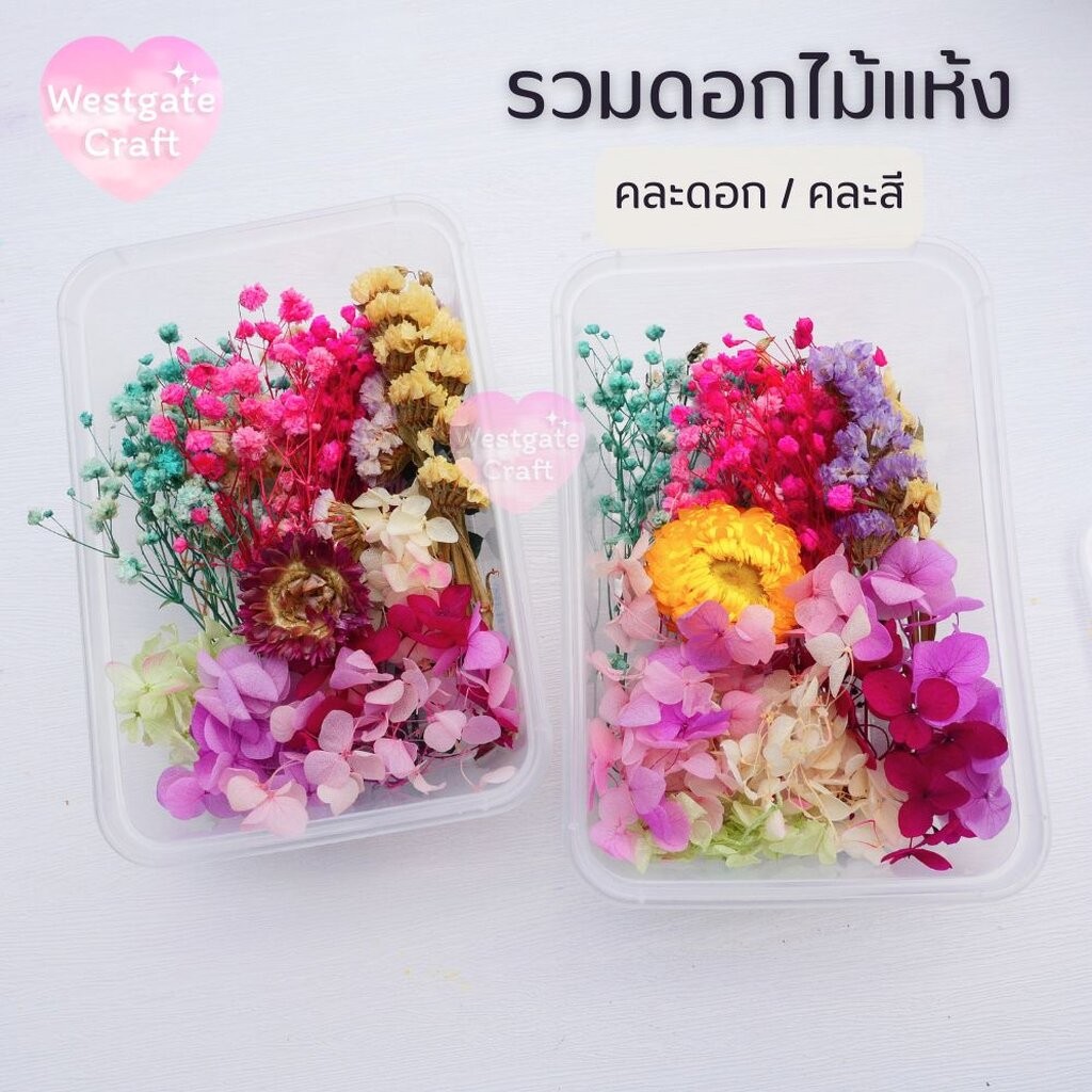 รวมดอกไม้แห้ง แบบกล่อง คละดอก คละสี สุ่ม