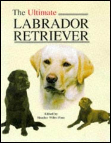 The Ultimate Labrador Retriever ISBN 9781860540226