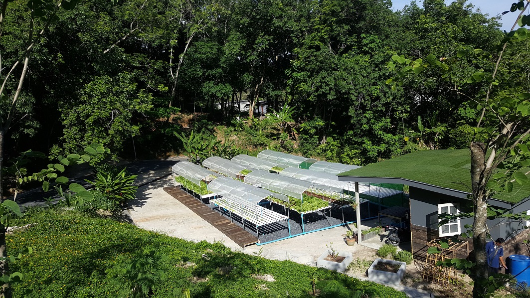 เดอะ นาคา ภูเก็ต