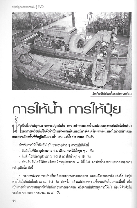 การเพาะปลูกและขยายพันธุ์ ส้มโอ