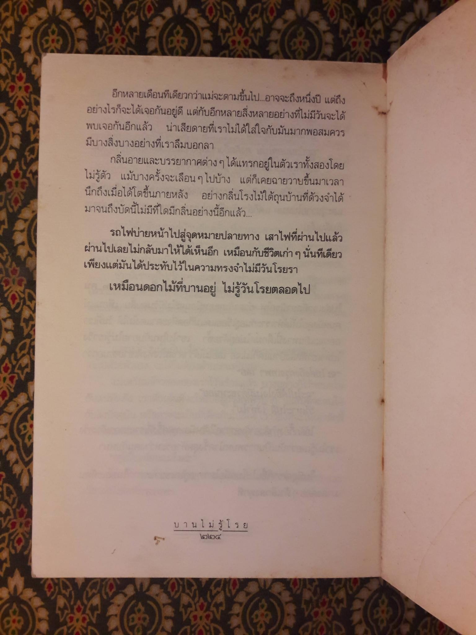 บานไม่รู้โรย