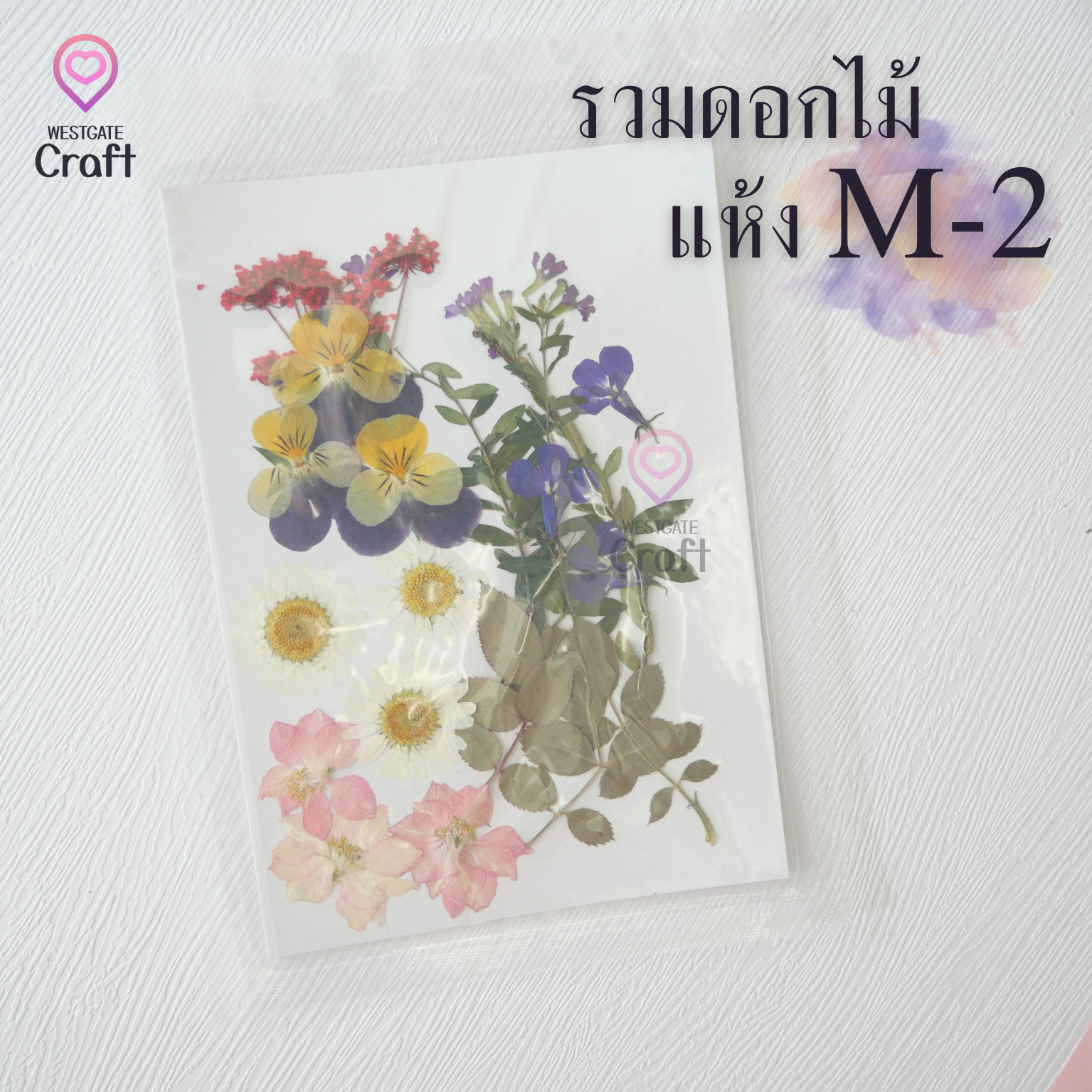 รวมดอกไม้แห้ง M ดอกไม้แห้งทับ ดอกไม้แบบคละ