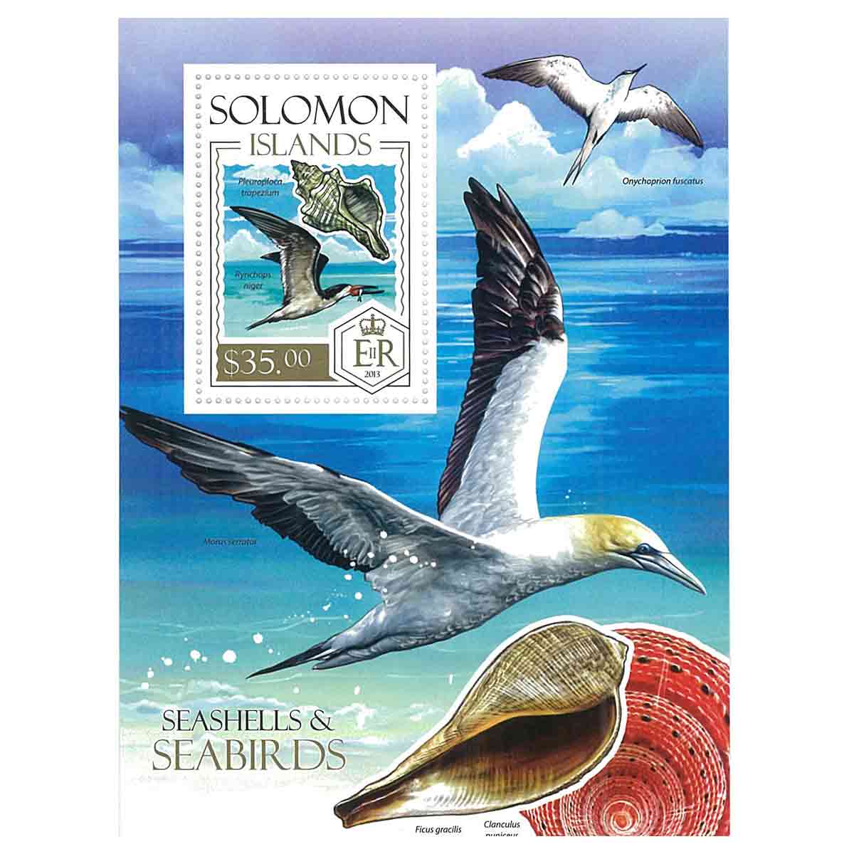 Solomon Islands Stamp, 2013 Seashells & Seabirds, Animal S/S