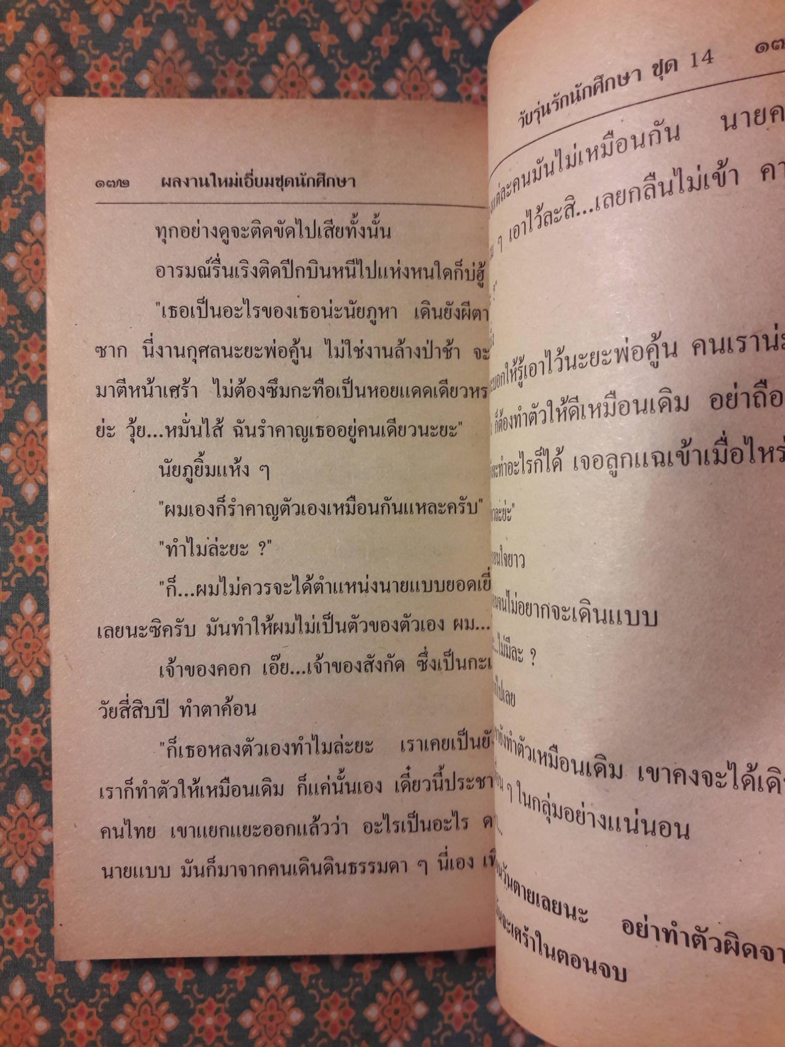 วัยรุ่นรักนักศึกษา ชุด 14