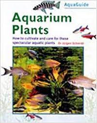 Aquarium Plants ISBN 9781842860342