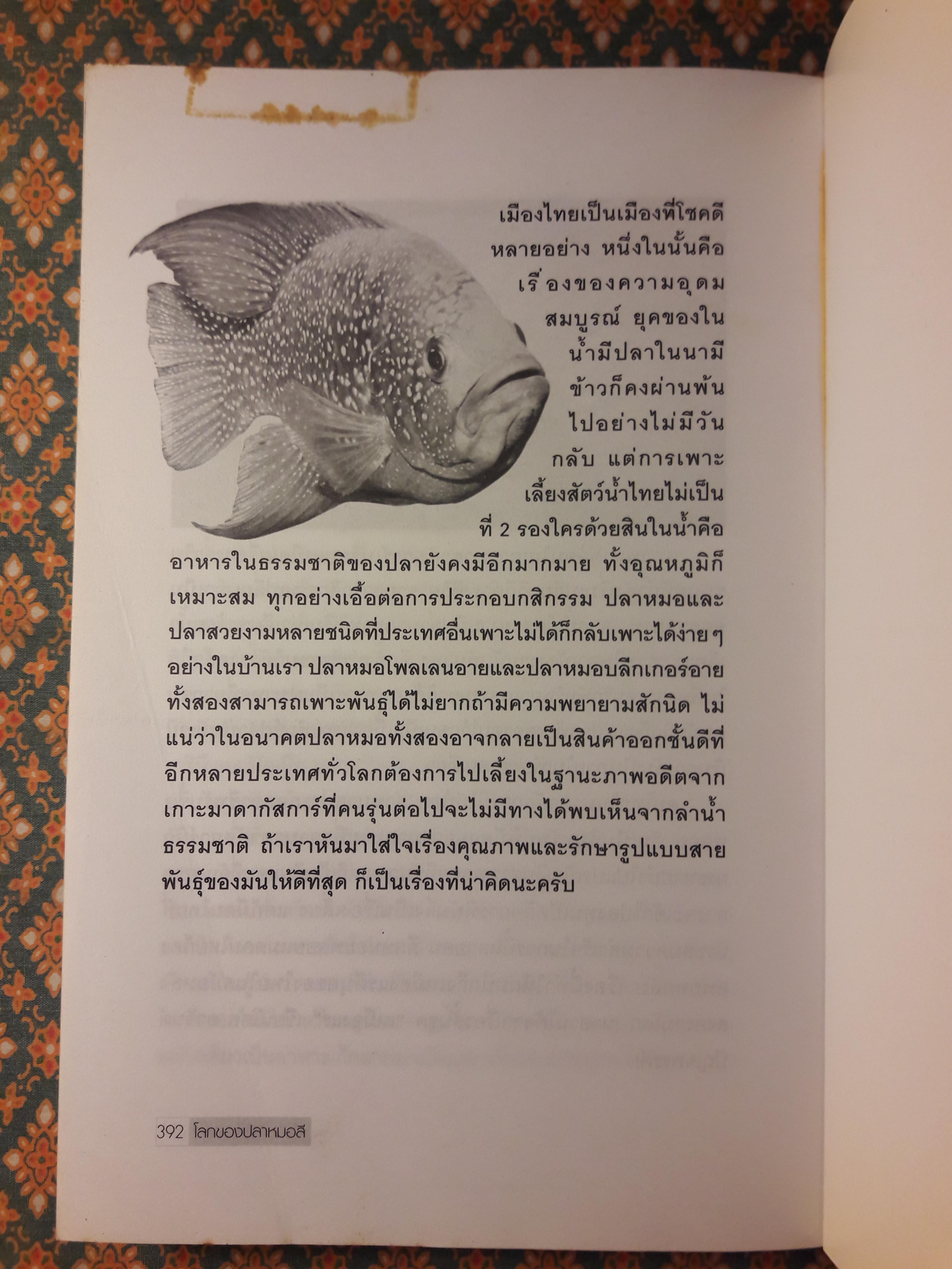โลกของปลาหมอสี (The Amazing of Cichlid’s Variety)