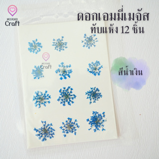 ดอกเอมมี่เมจัส 12 ดอก ดอกไม้แห้งทับ