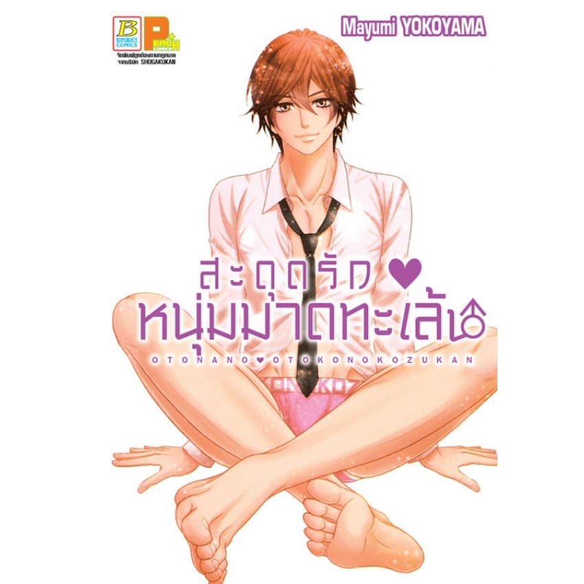 สะดุดรัก♥ หนุ่มมาดทะเล้น (เล่มเดียวจบ)