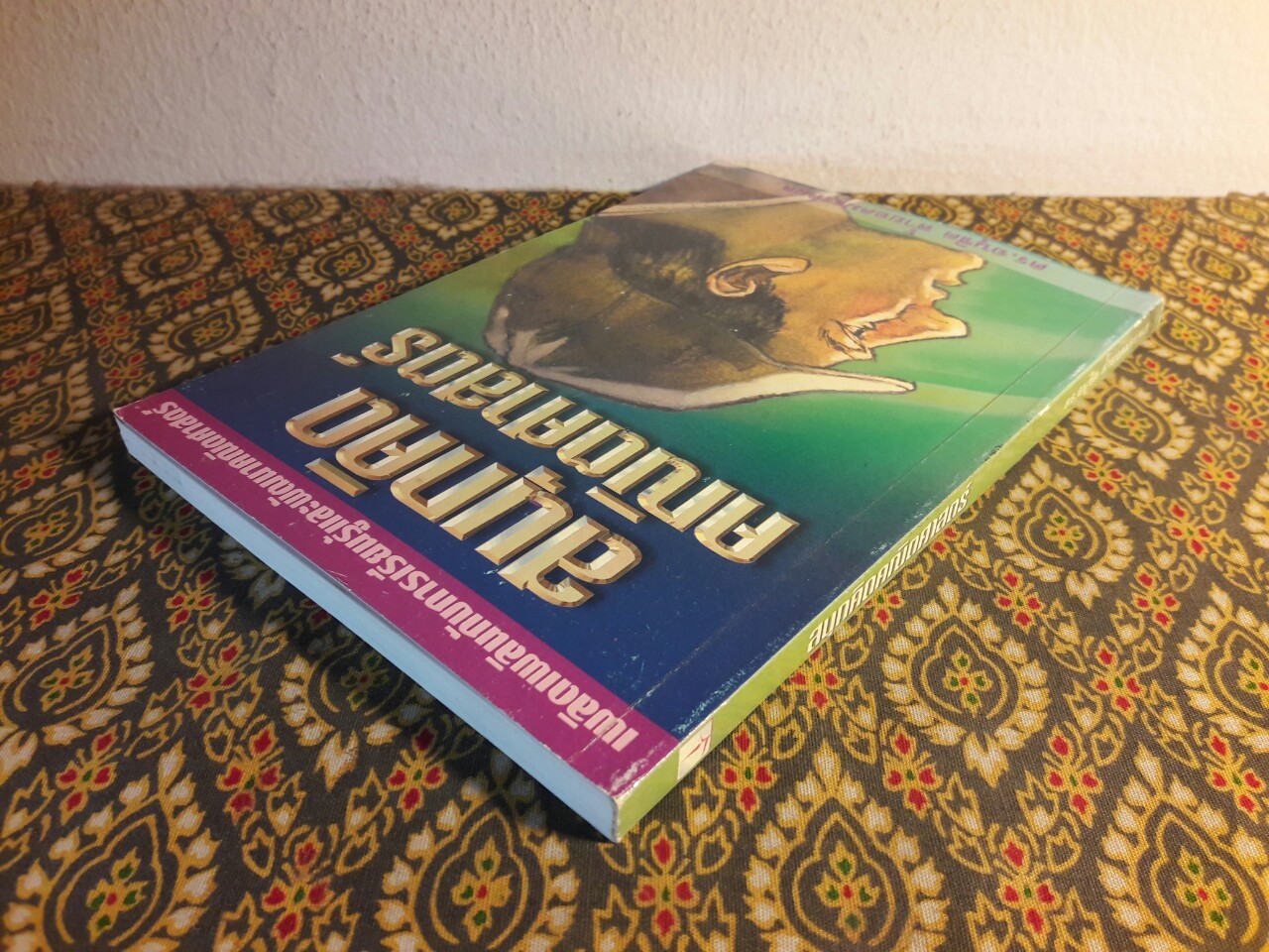 สนุกคิดคณิตศาสตร์