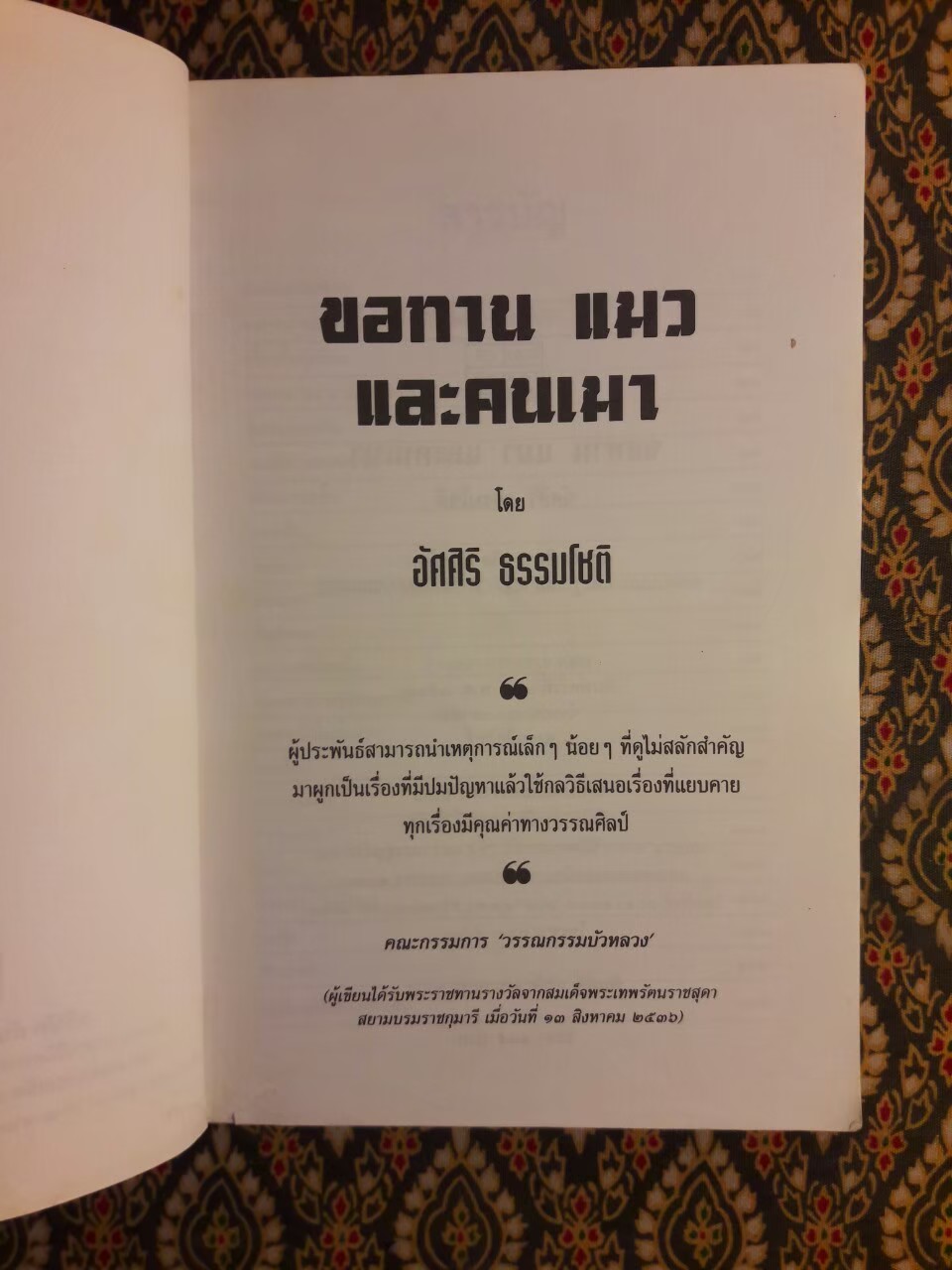 ขอทาน แมว และคนเมา