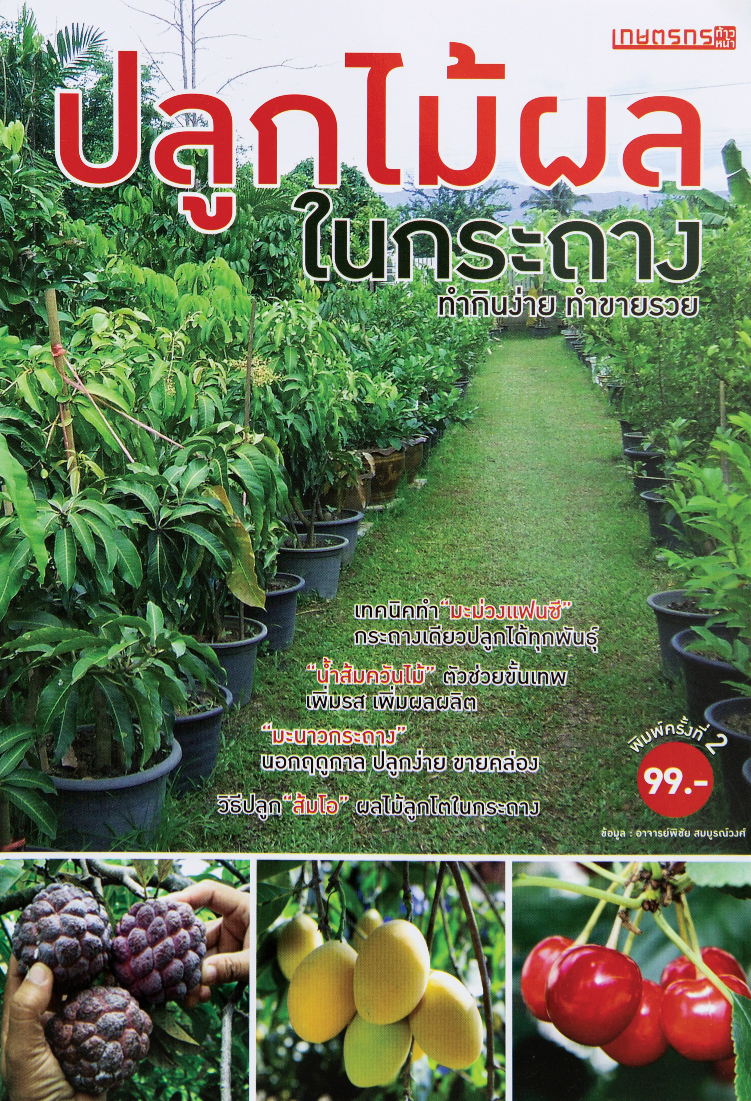 ปลูกไม้ผลในกระถาง