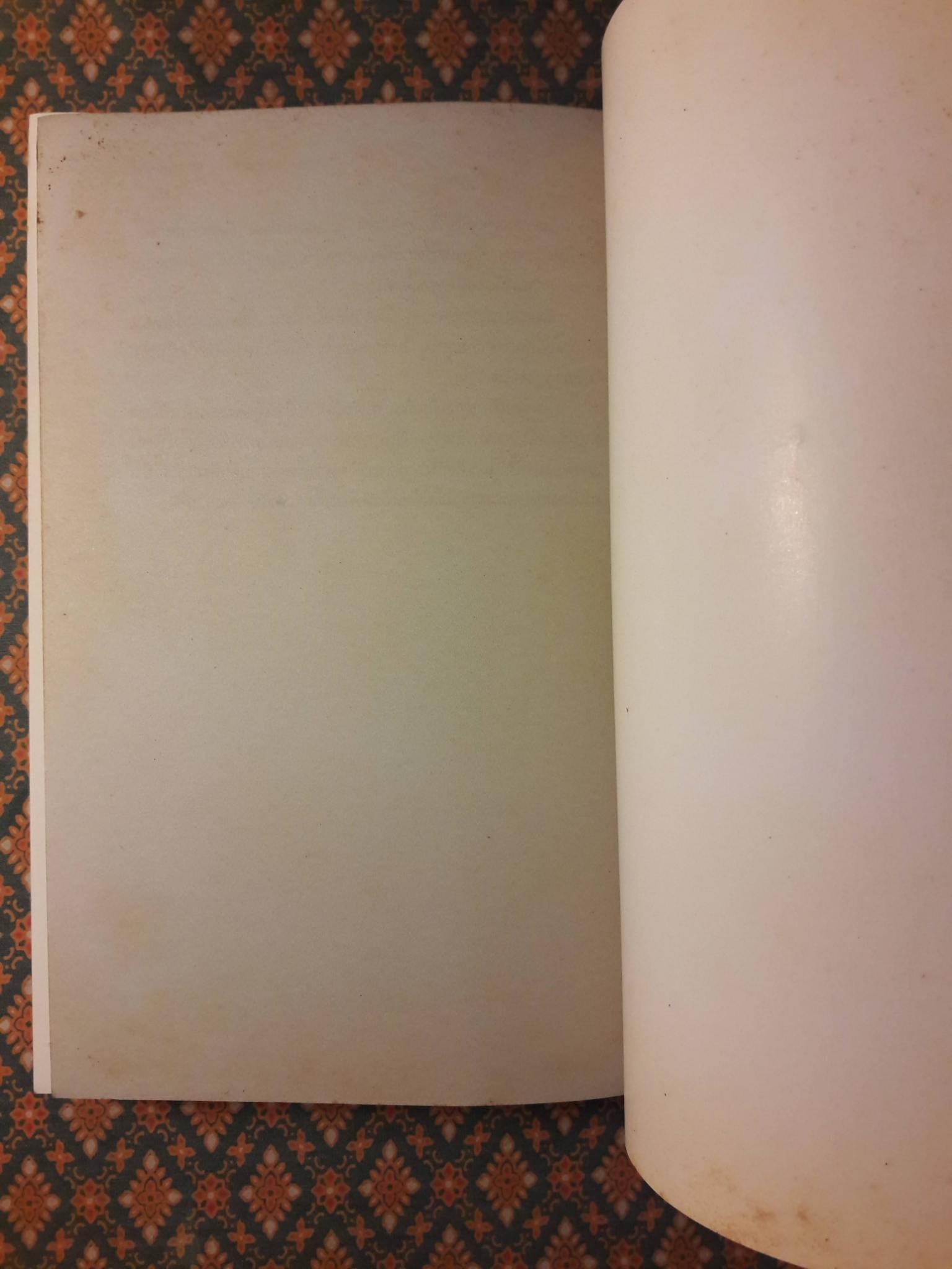 ยังมีดอกไม้ในอรุณ