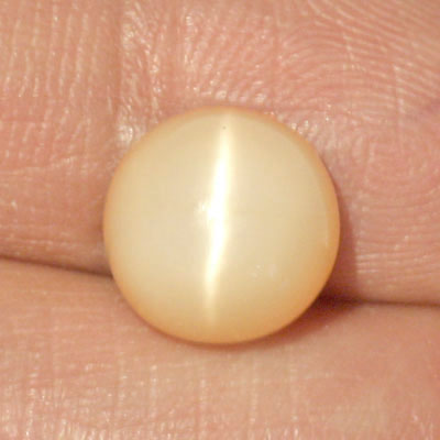 **ขายแล้ว**มูนสโตนตาแมว หรือ มุกดาหารตาเเมว (Cat's eye Moonstone) 4.96 กะรัต สีส้ม เนื้อเนียน มีตาเเมว