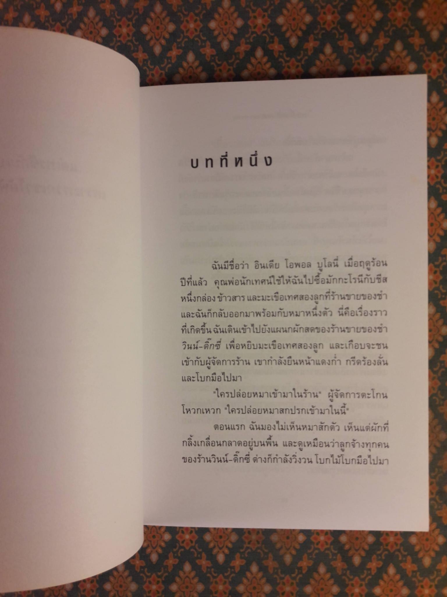 วินน์ – ดิ๊กซี่ สุนัขร้านชำทำเหตุ Because of Winn-Dixie