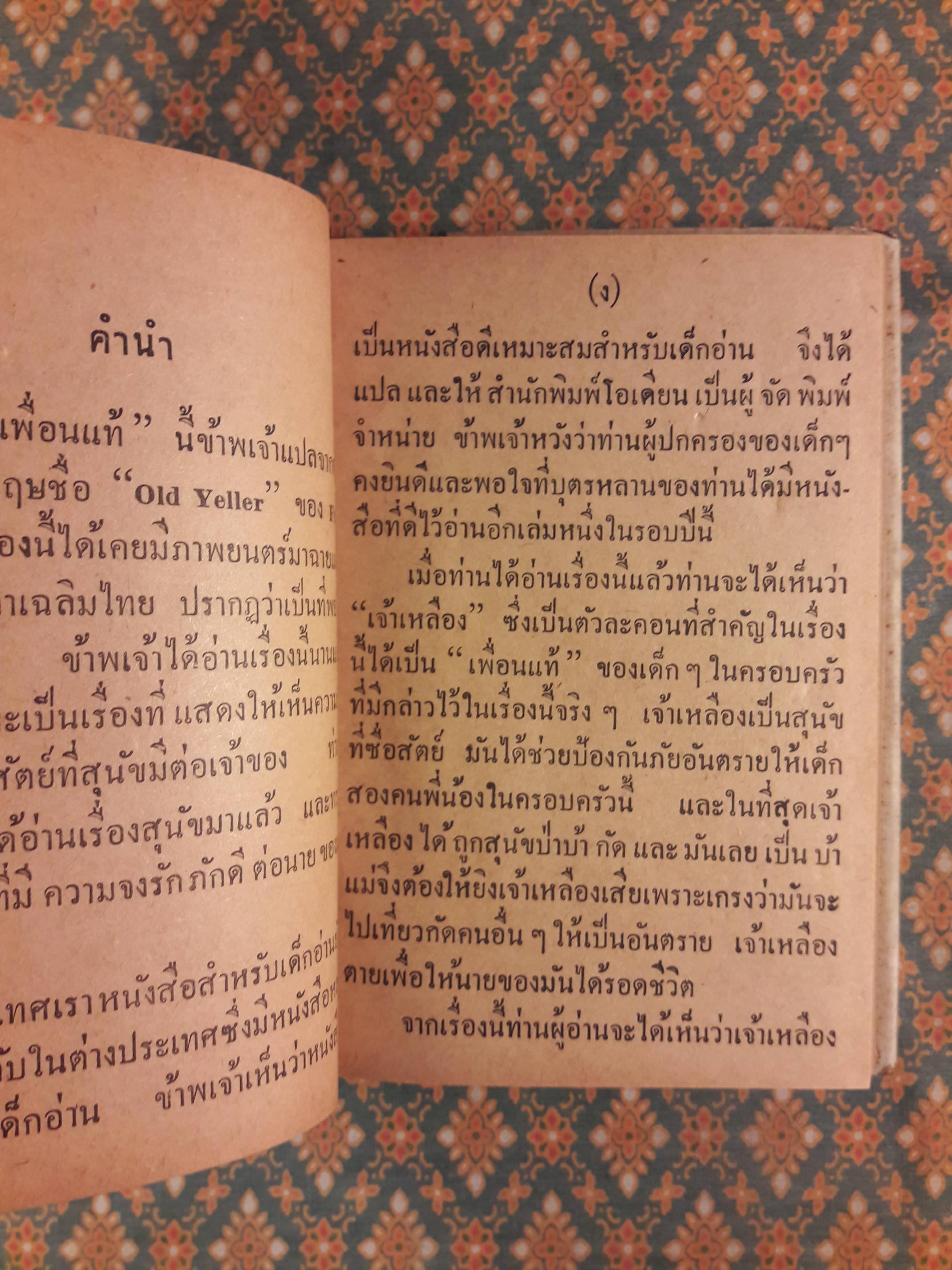 เพื่อนแท้ OLD YELLER