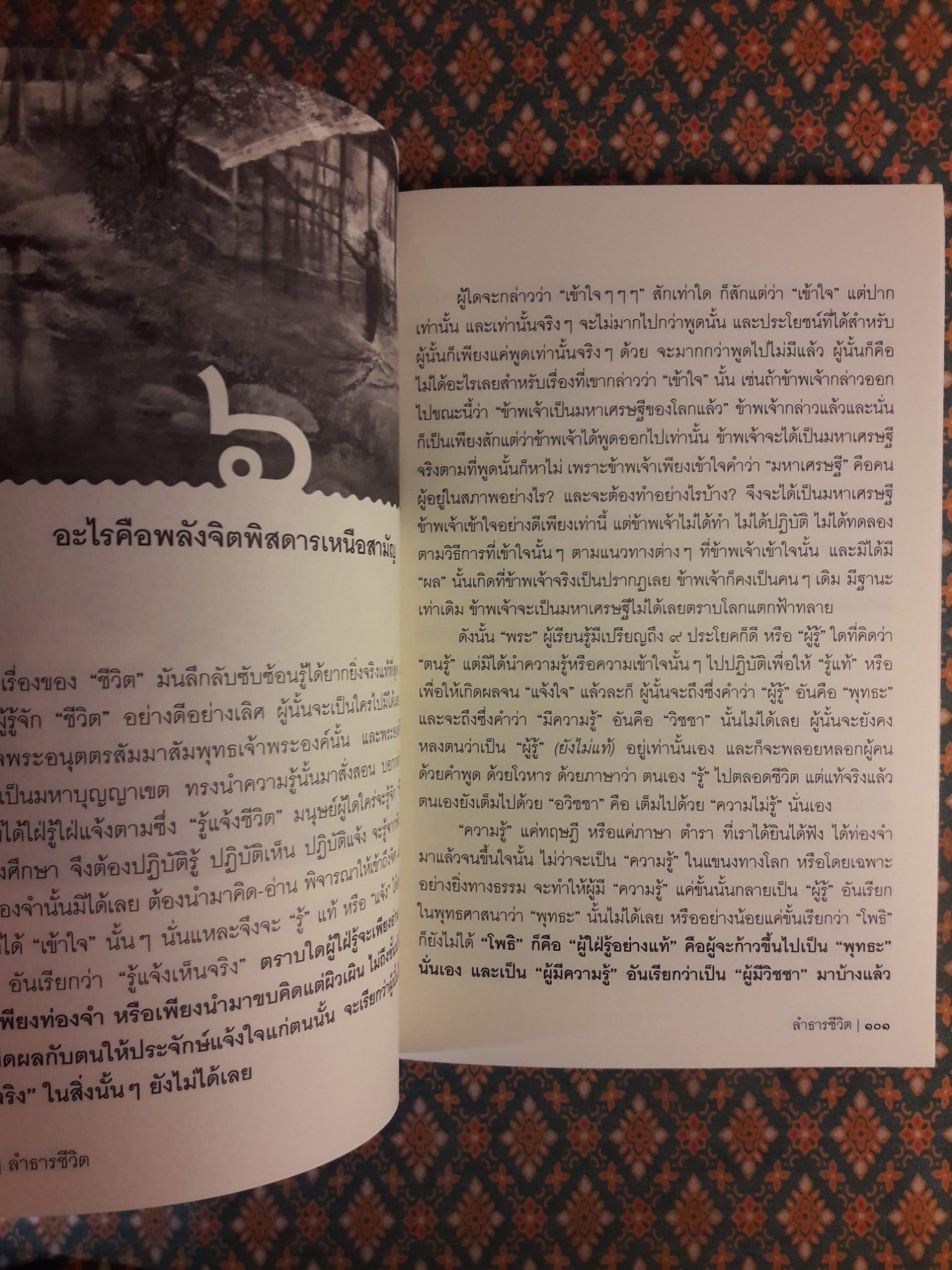 ลำธารชีวิต