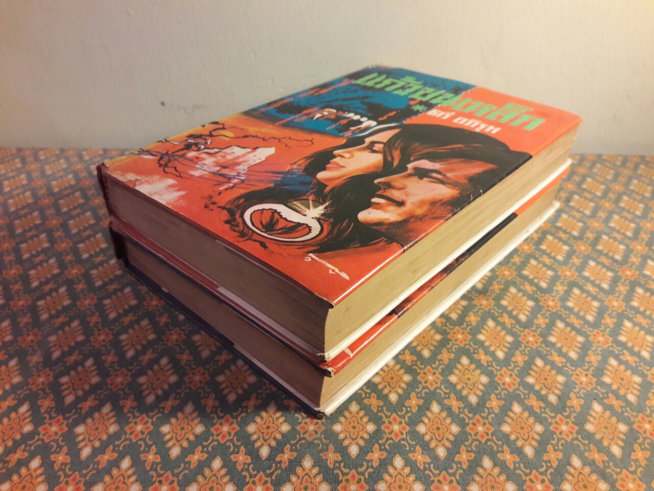 แก้วขนเหล็ก (2 เล่มจบ)