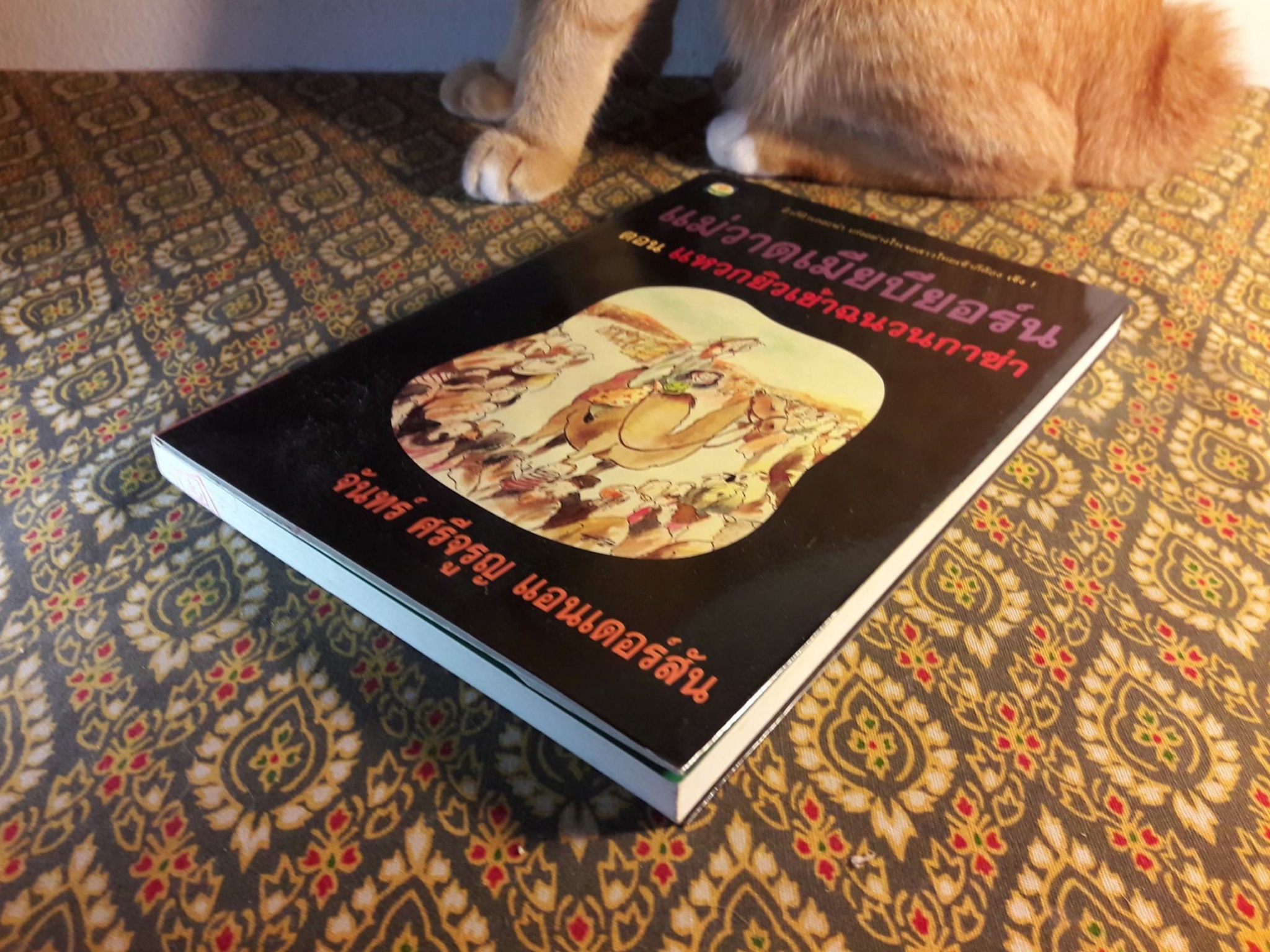 แม่วาดเมียบียอร์น ตอนแหวกยิวเข้าฉนวนกาซ่า