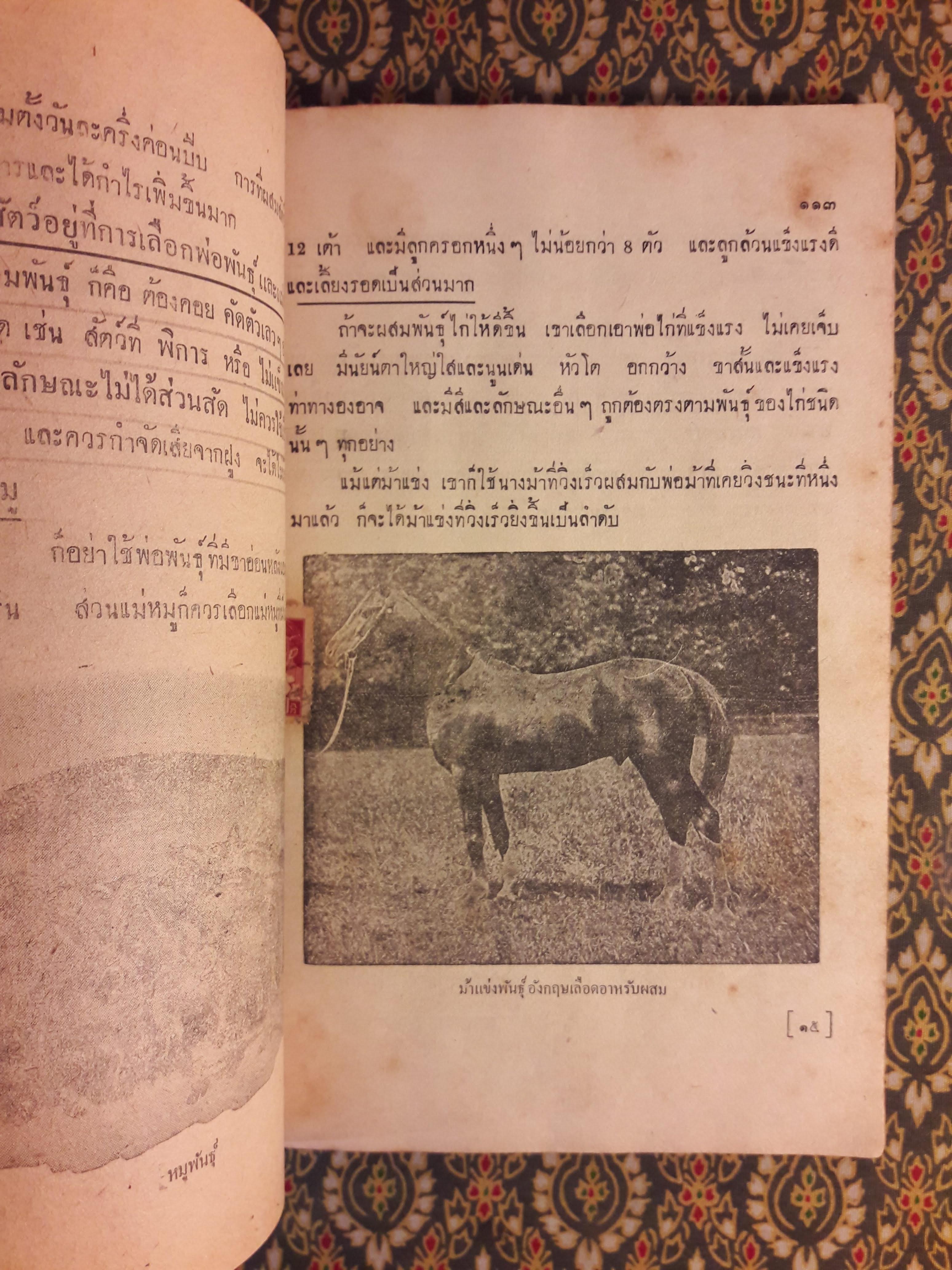 วิทยาศาสตร์ ชั้นมัธยมปีที่ 3