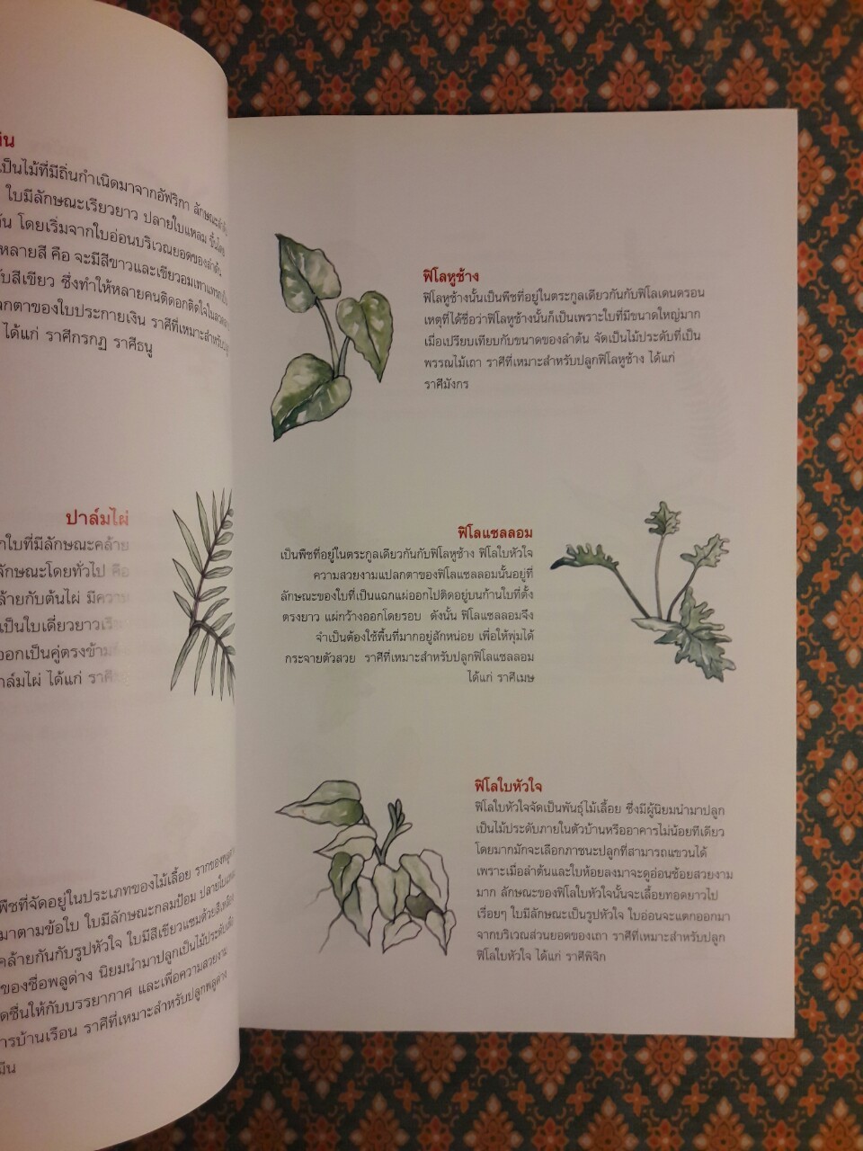 ไม้มงคลเสริมราศี